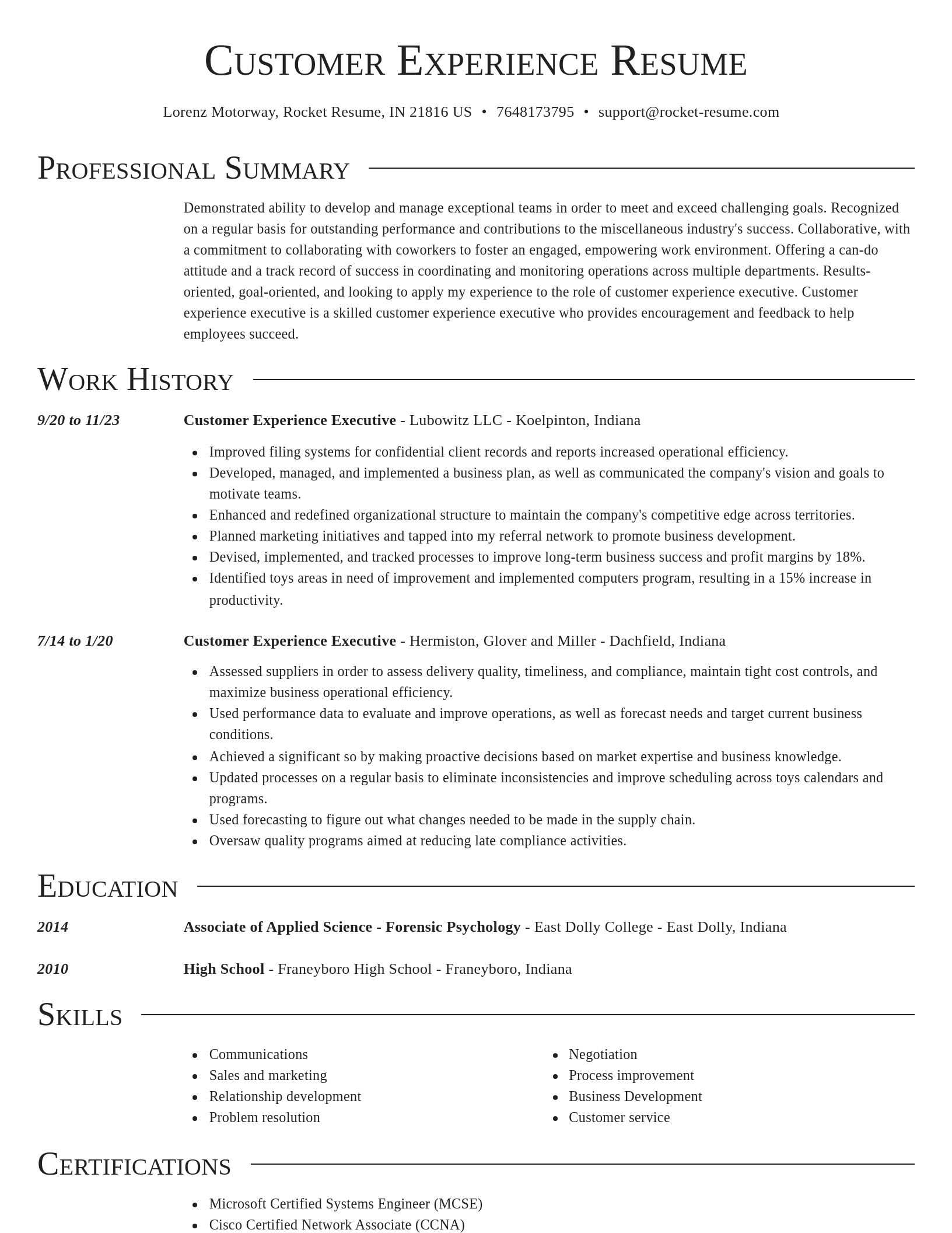 Director resume template