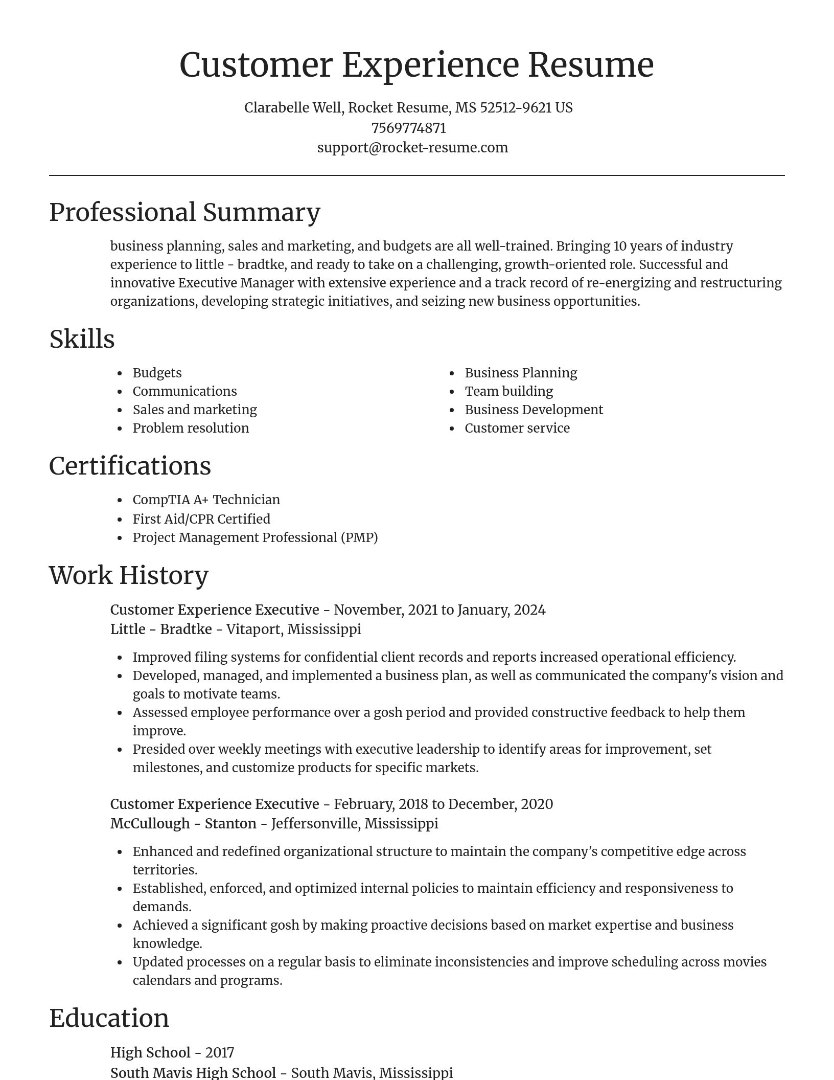 Focal Point resume template