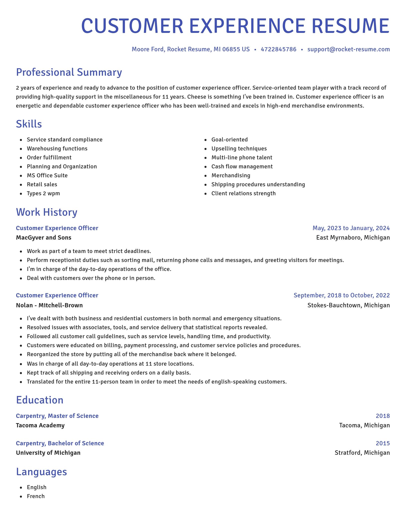 Novel resume template