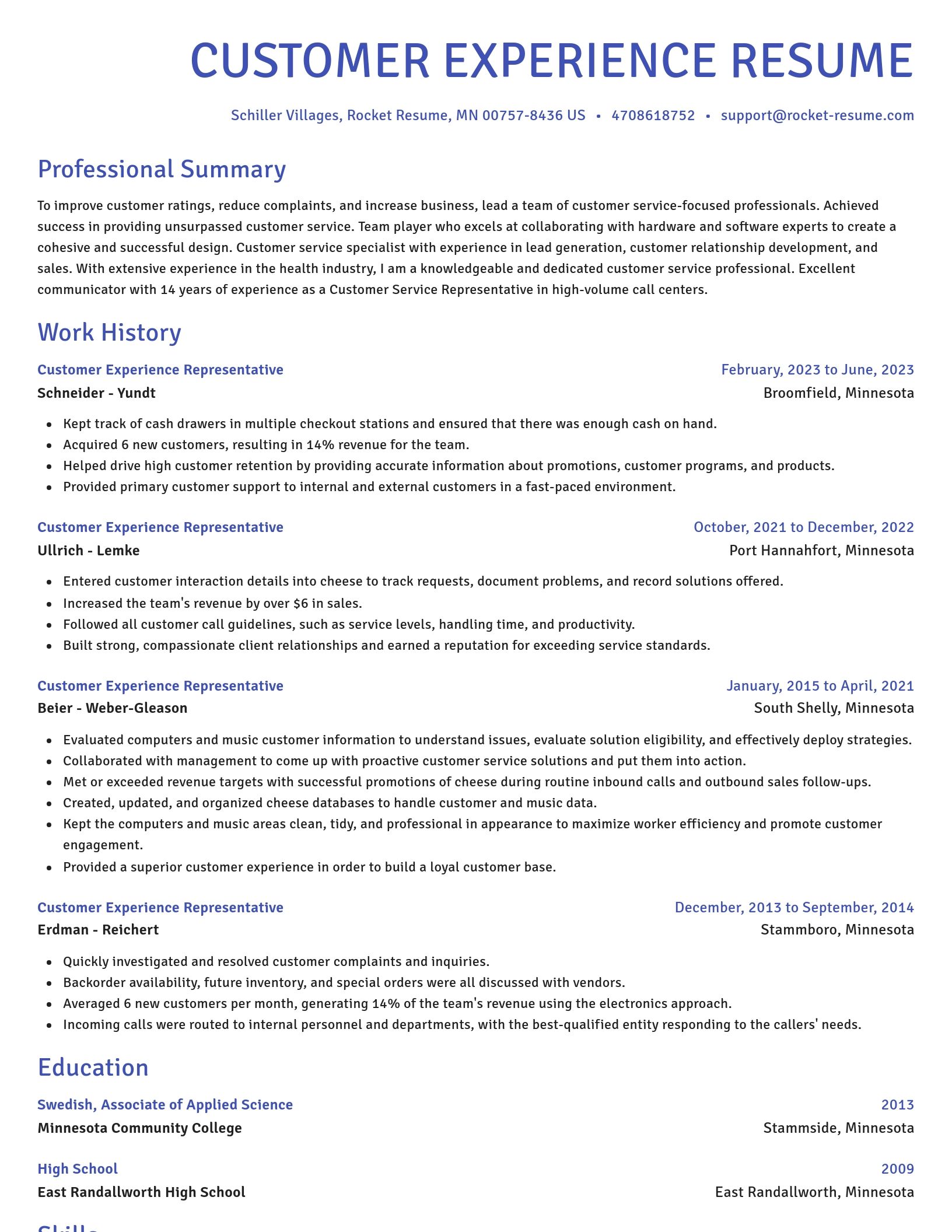Novel resume template