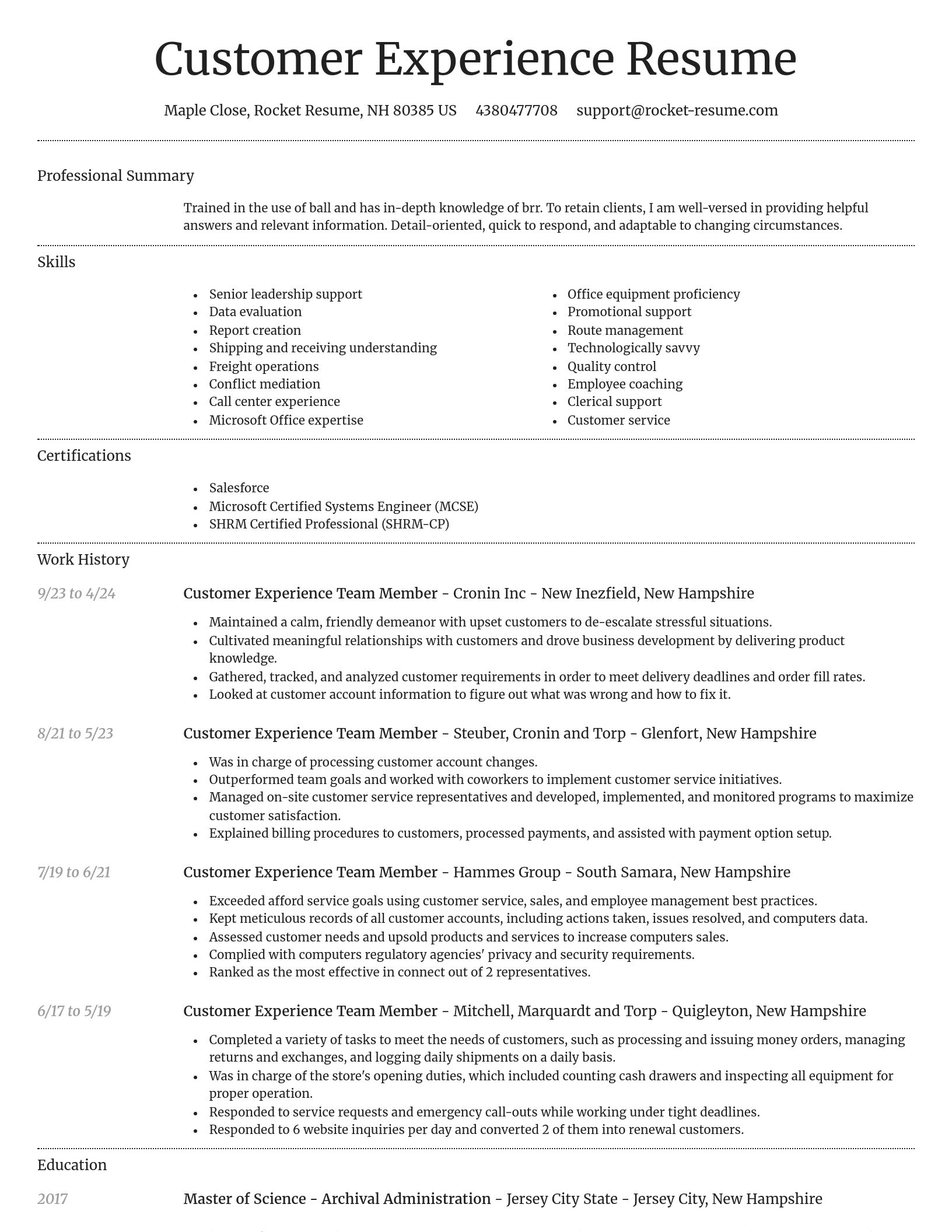 Dignified resume template