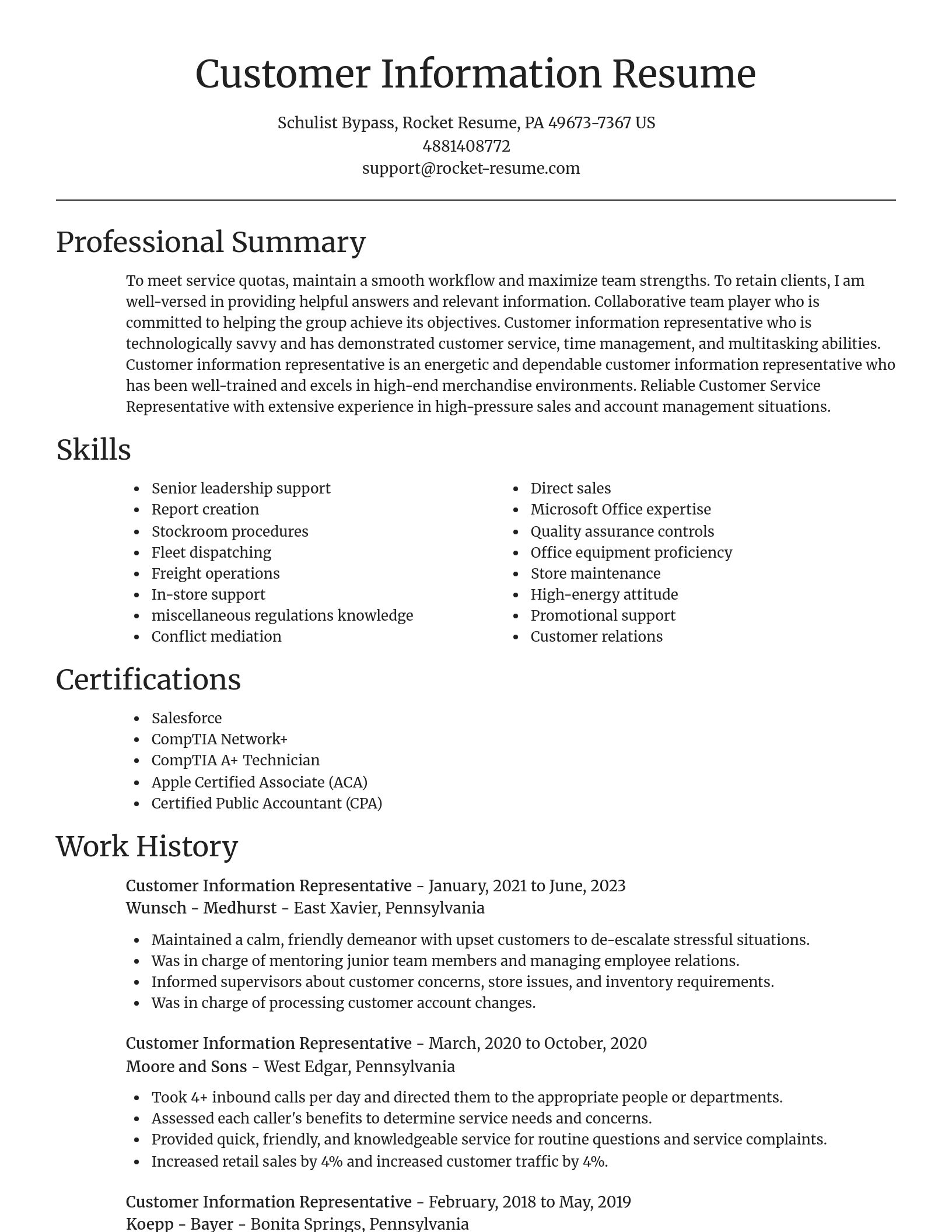 Focal Point resume template