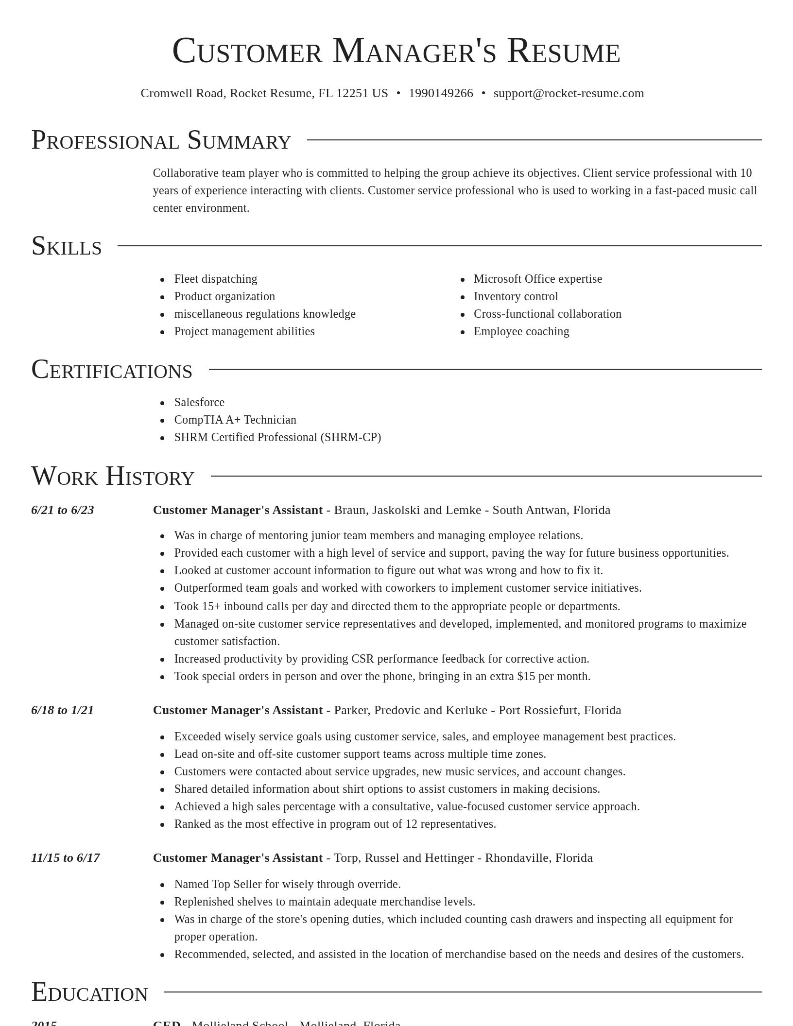 Director resume template