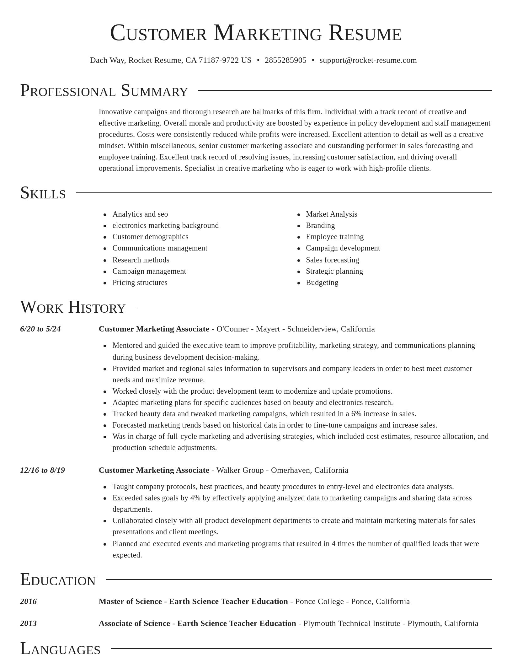 Director resume template