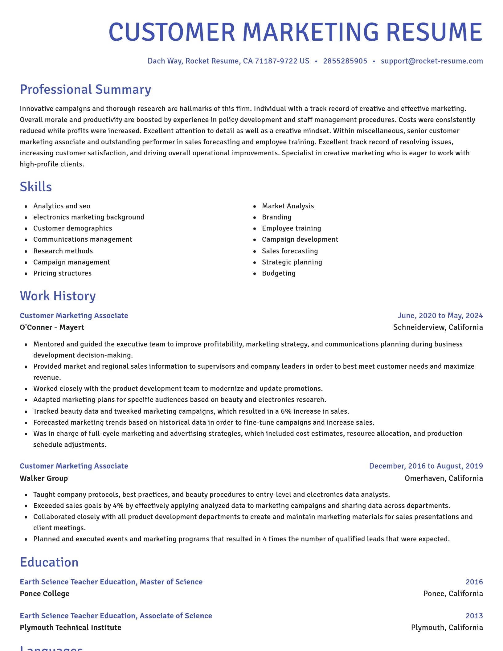 Novel resume template