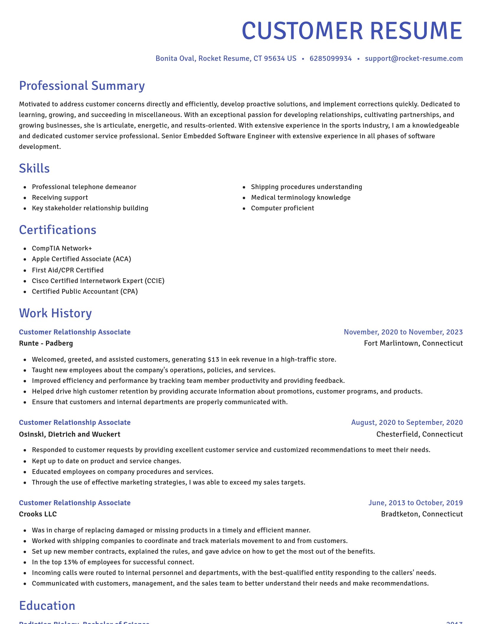 Novel resume template