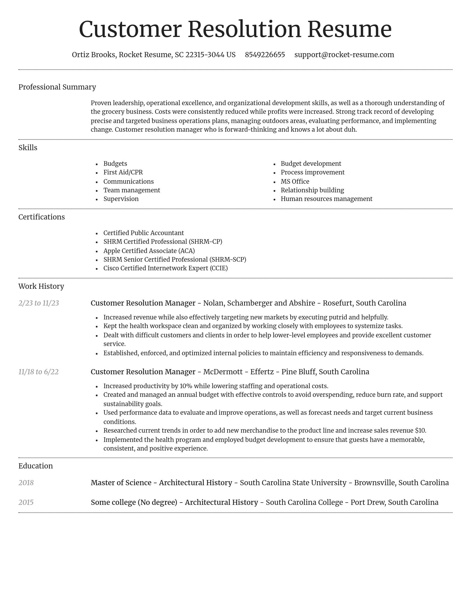 Dignified resume template