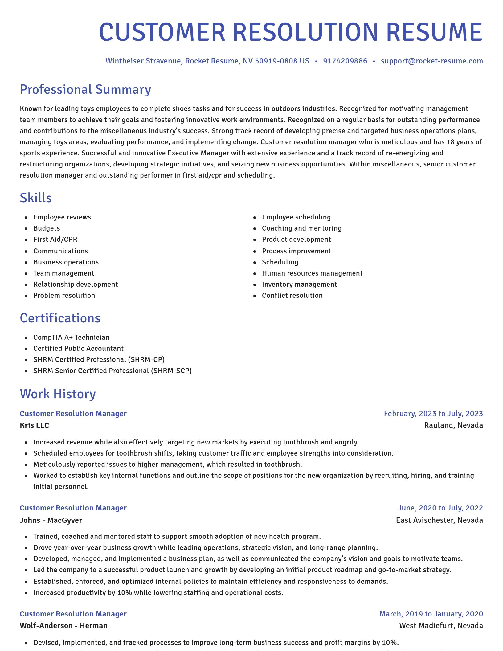Novel resume template