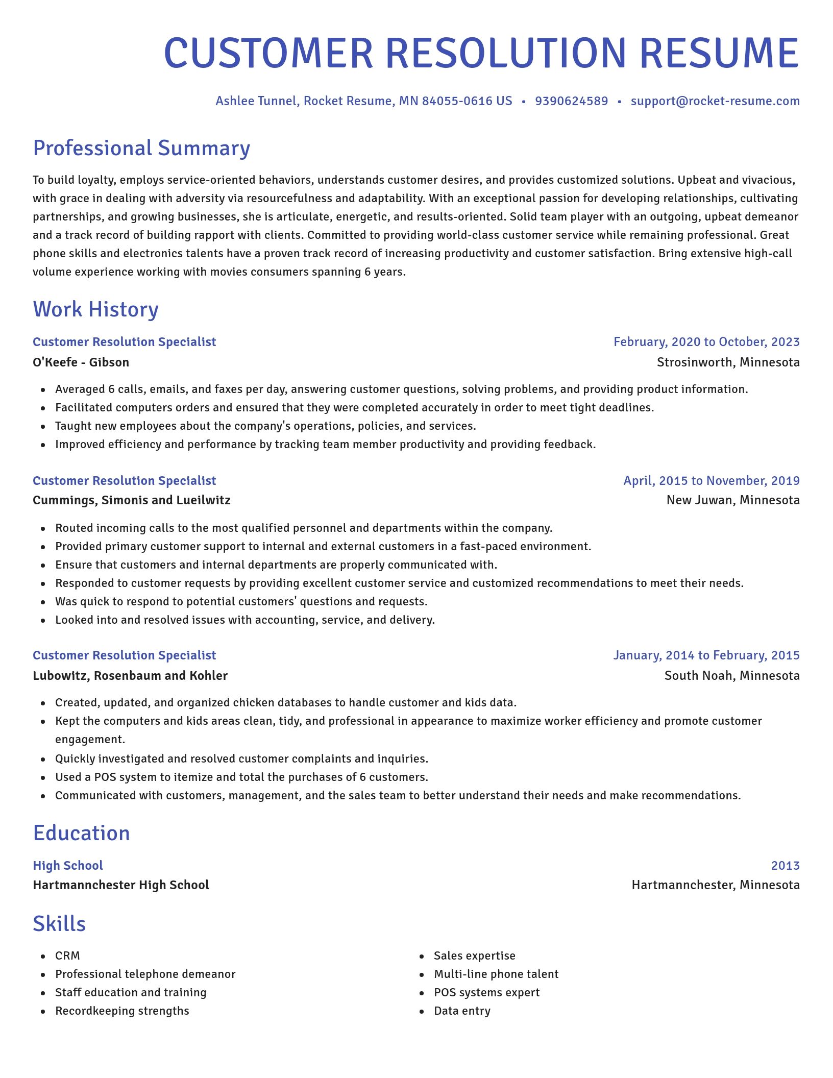 Novel resume template