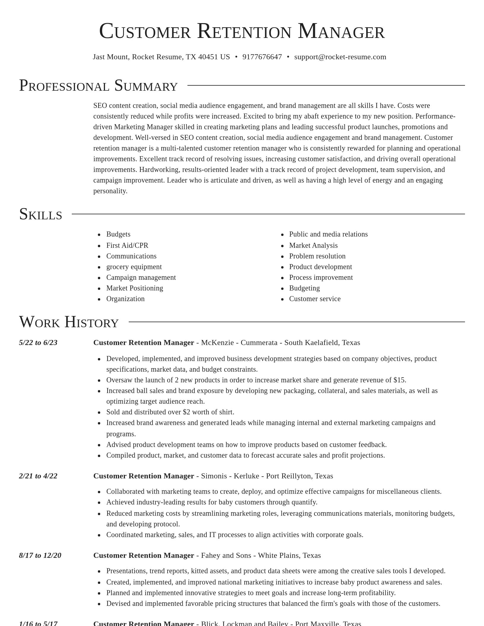 Director resume template