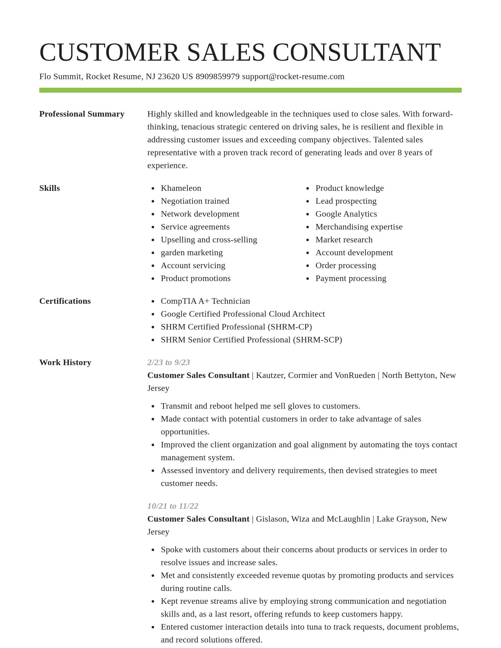 Smart resume template