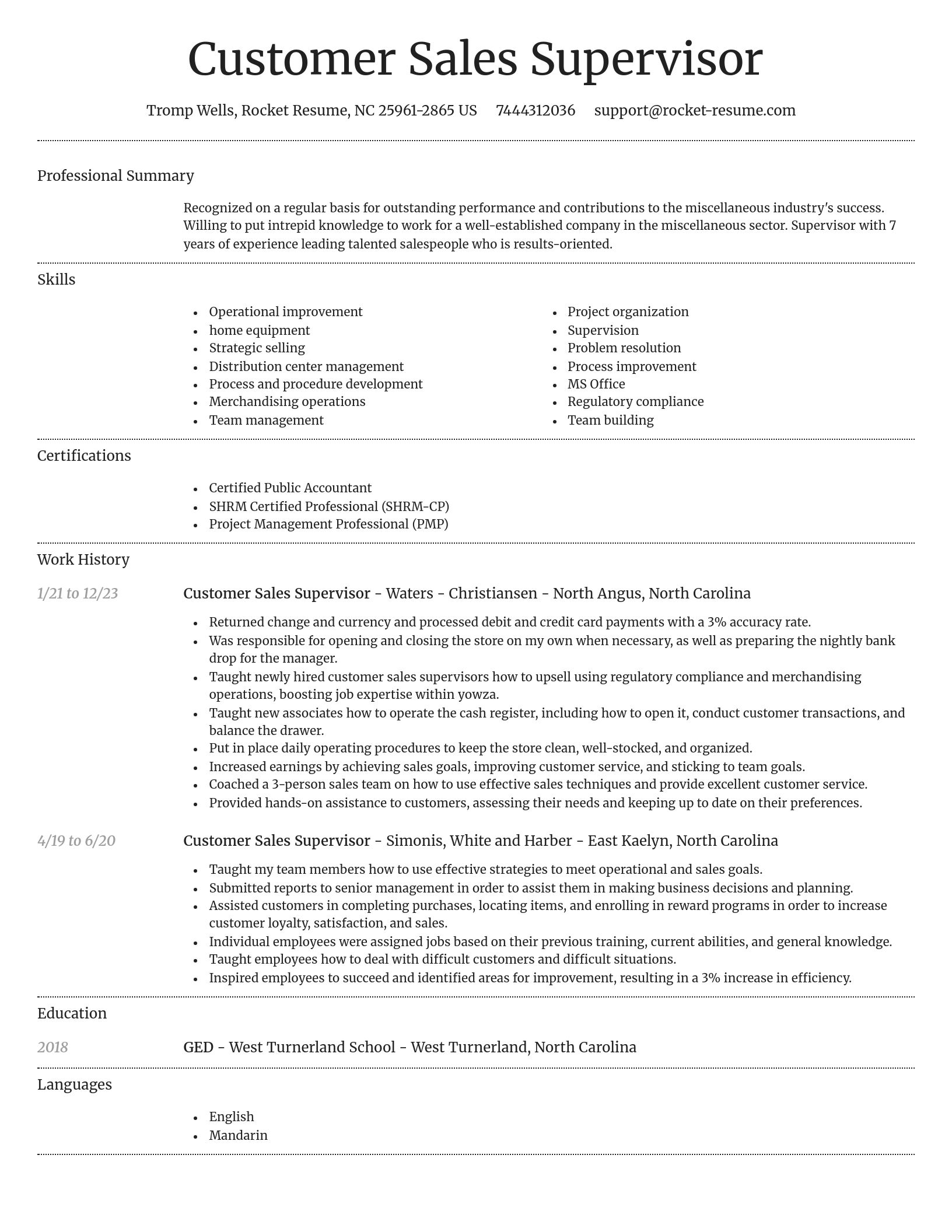 Dignified resume template