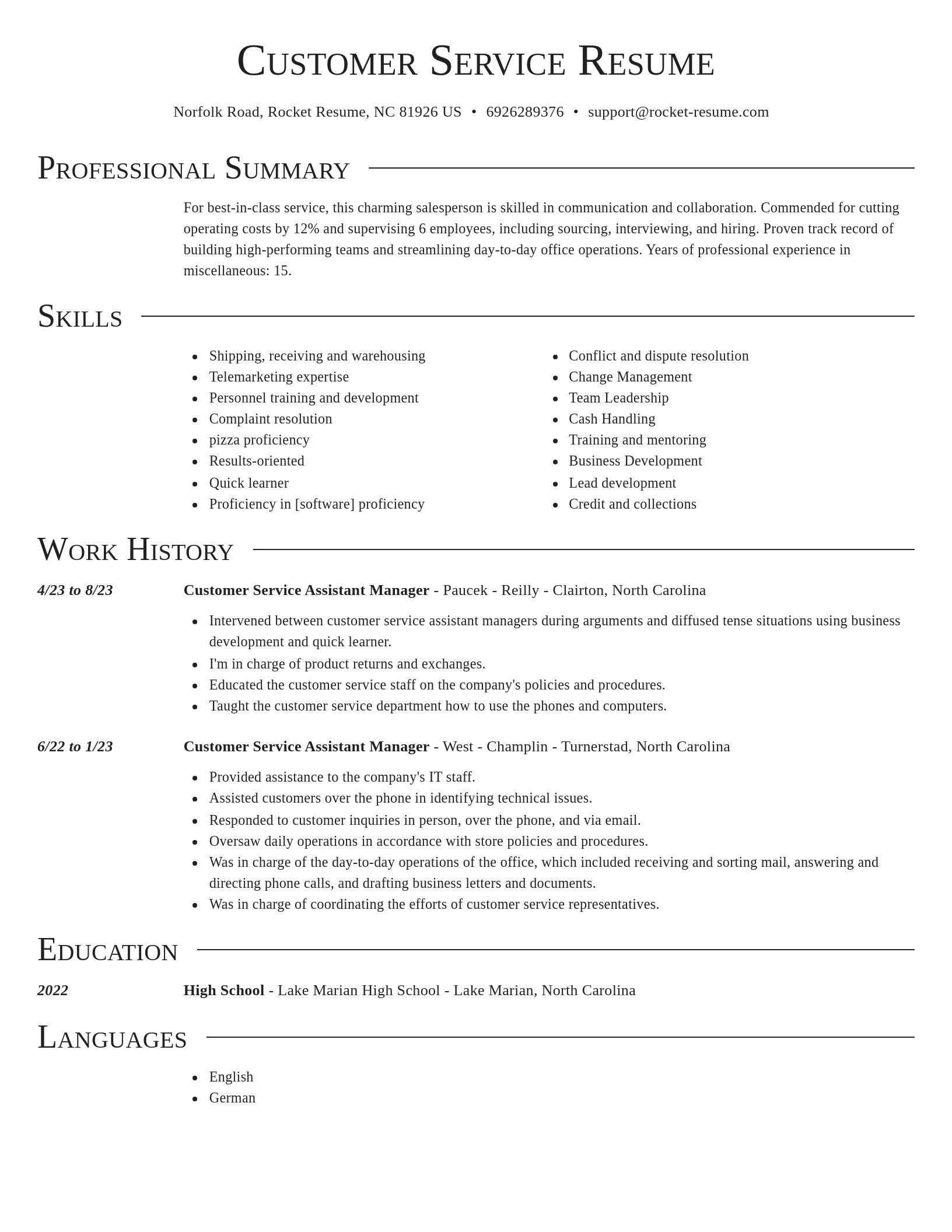 Director resume template