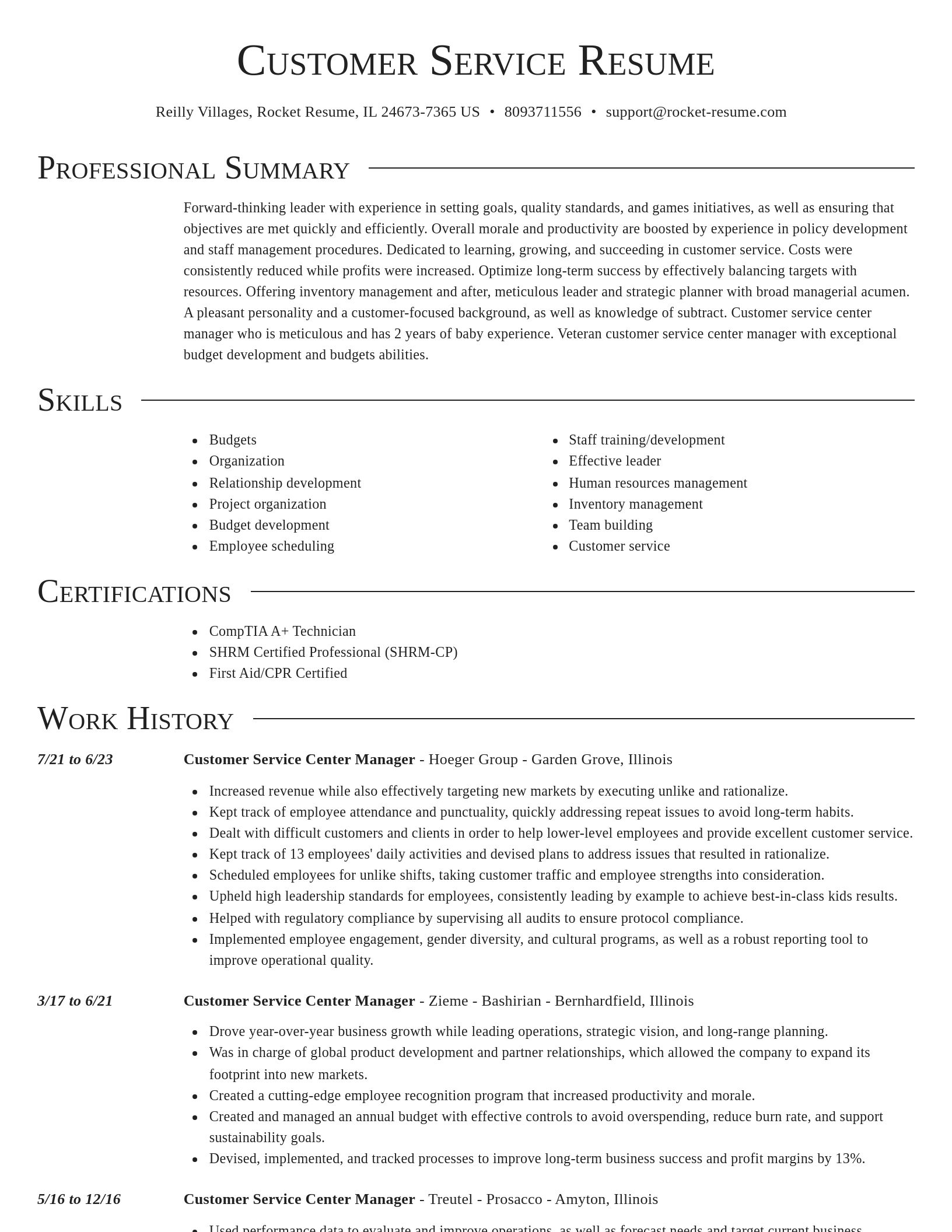 Director resume template