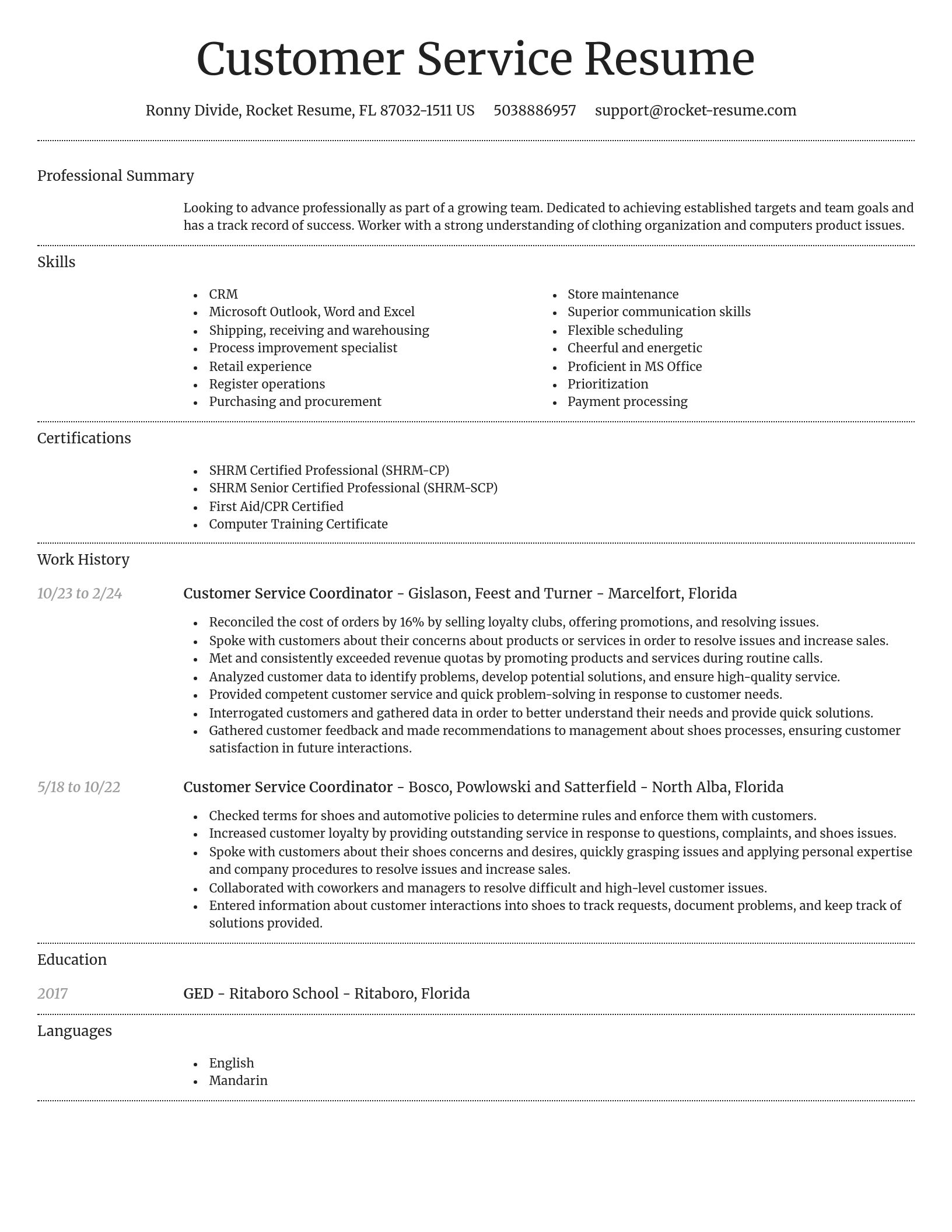 Dignified resume template