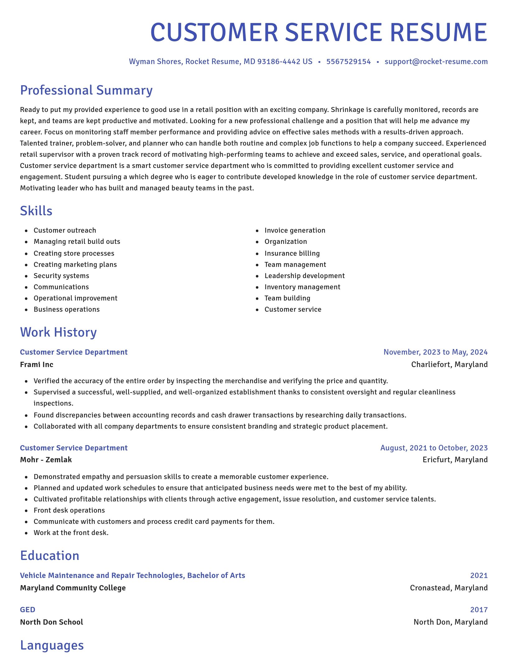 Novel resume template