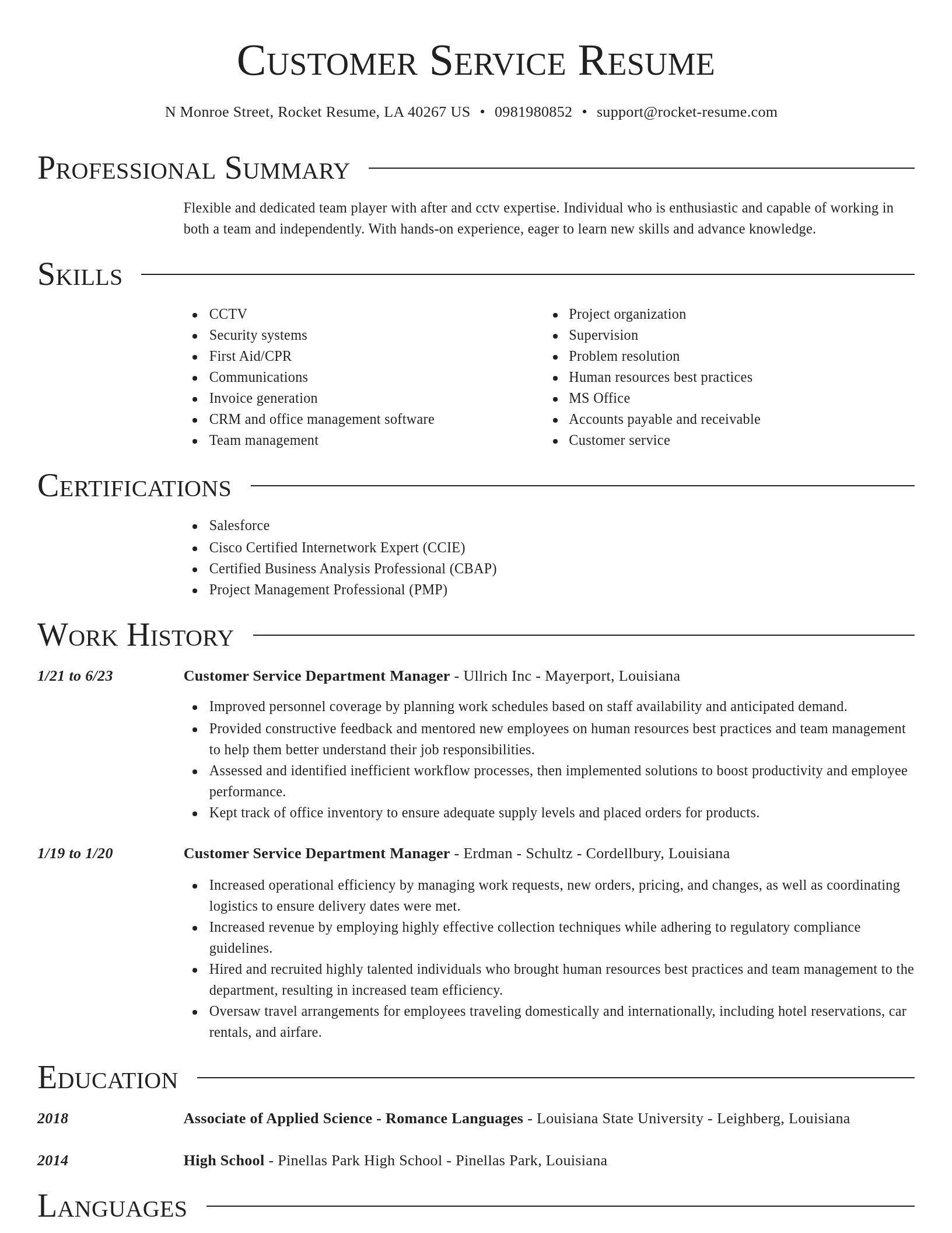 Director resume template