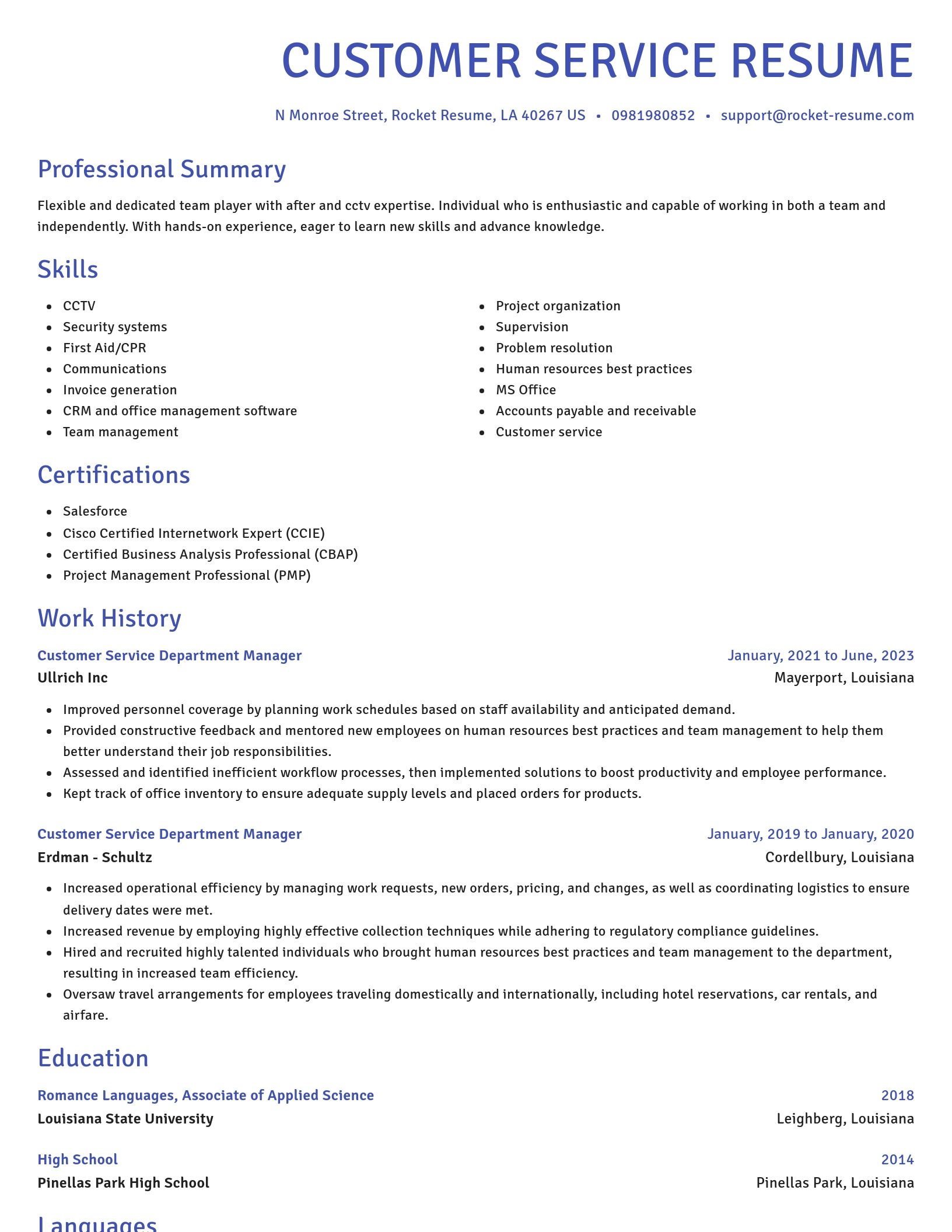 Novel resume template