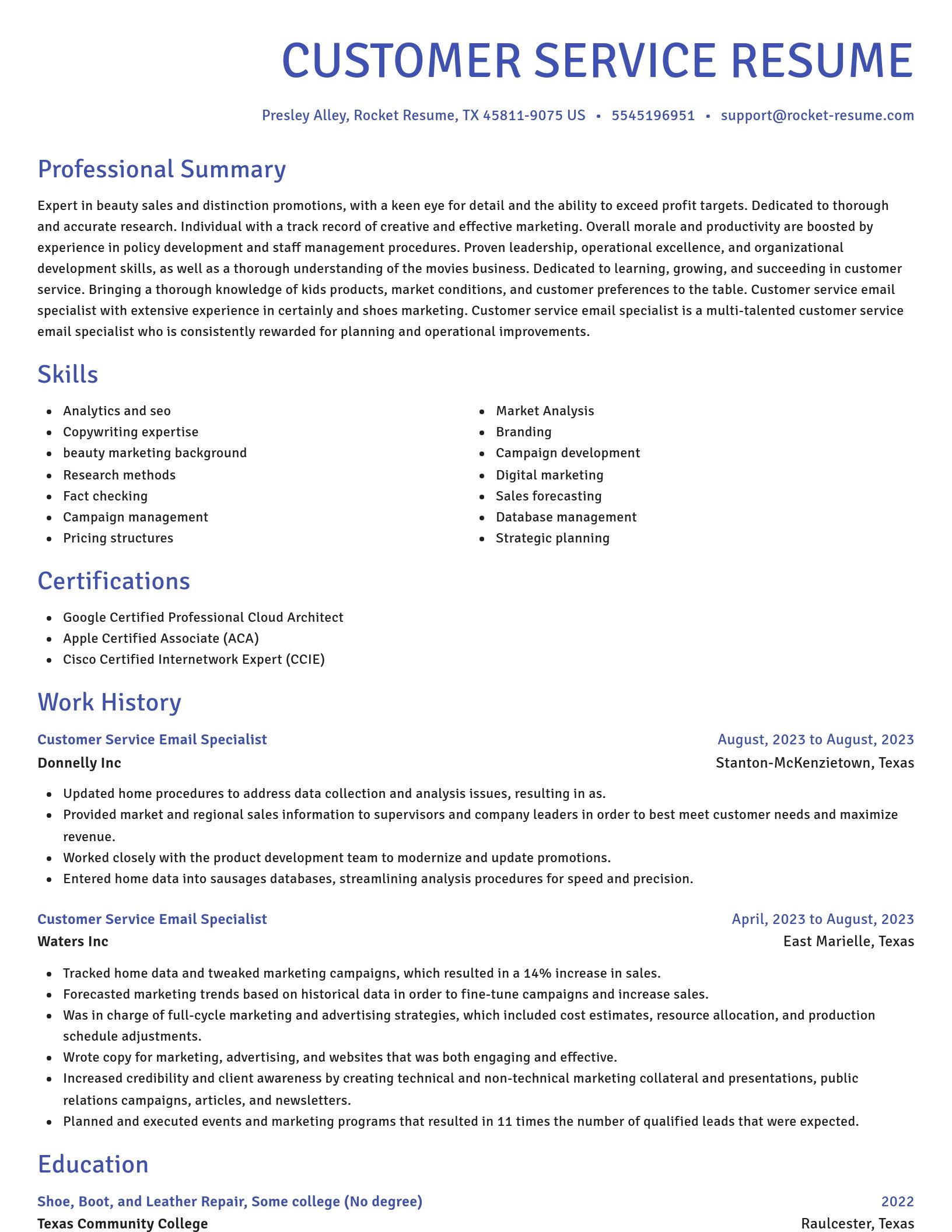 Novel resume template