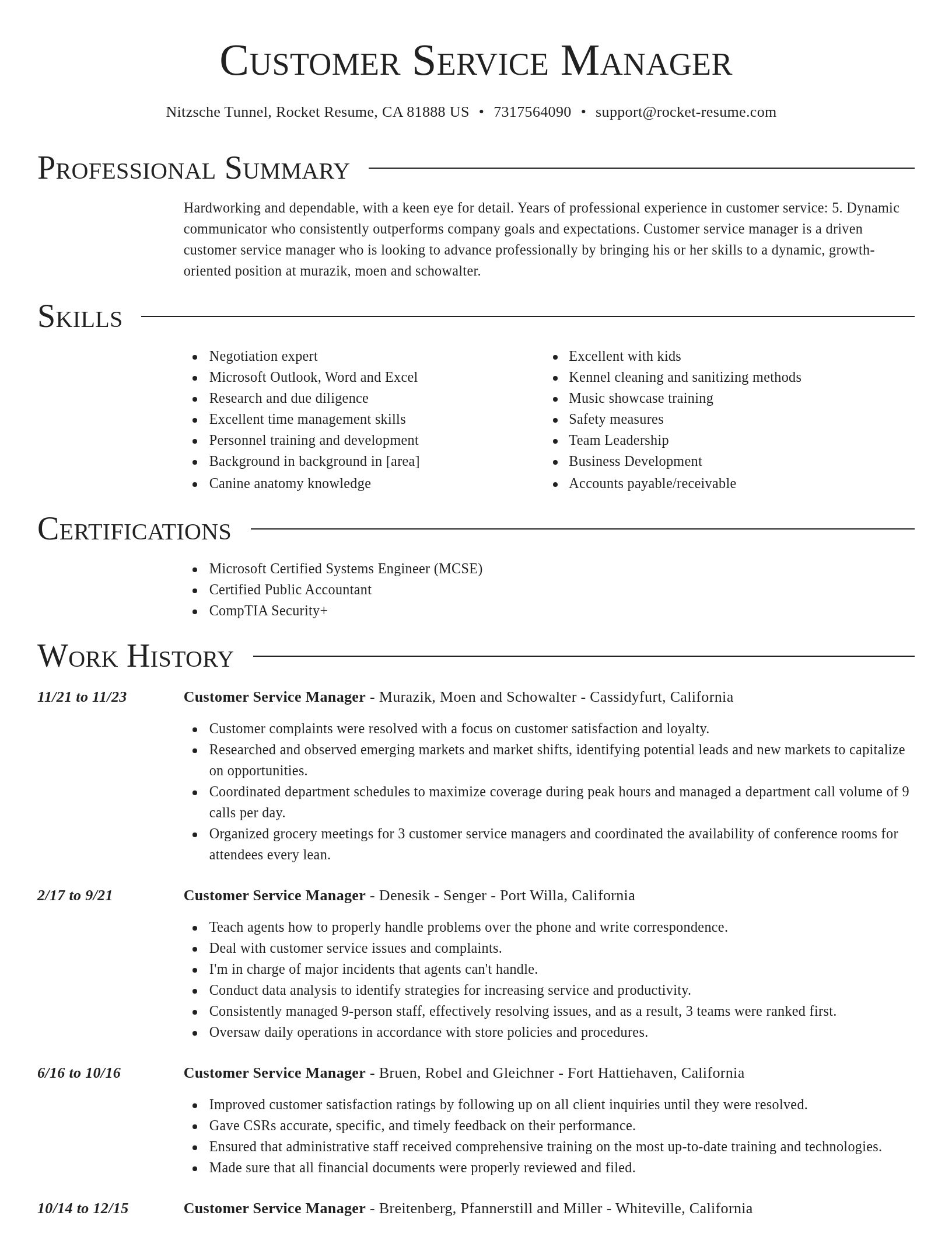 Director resume template