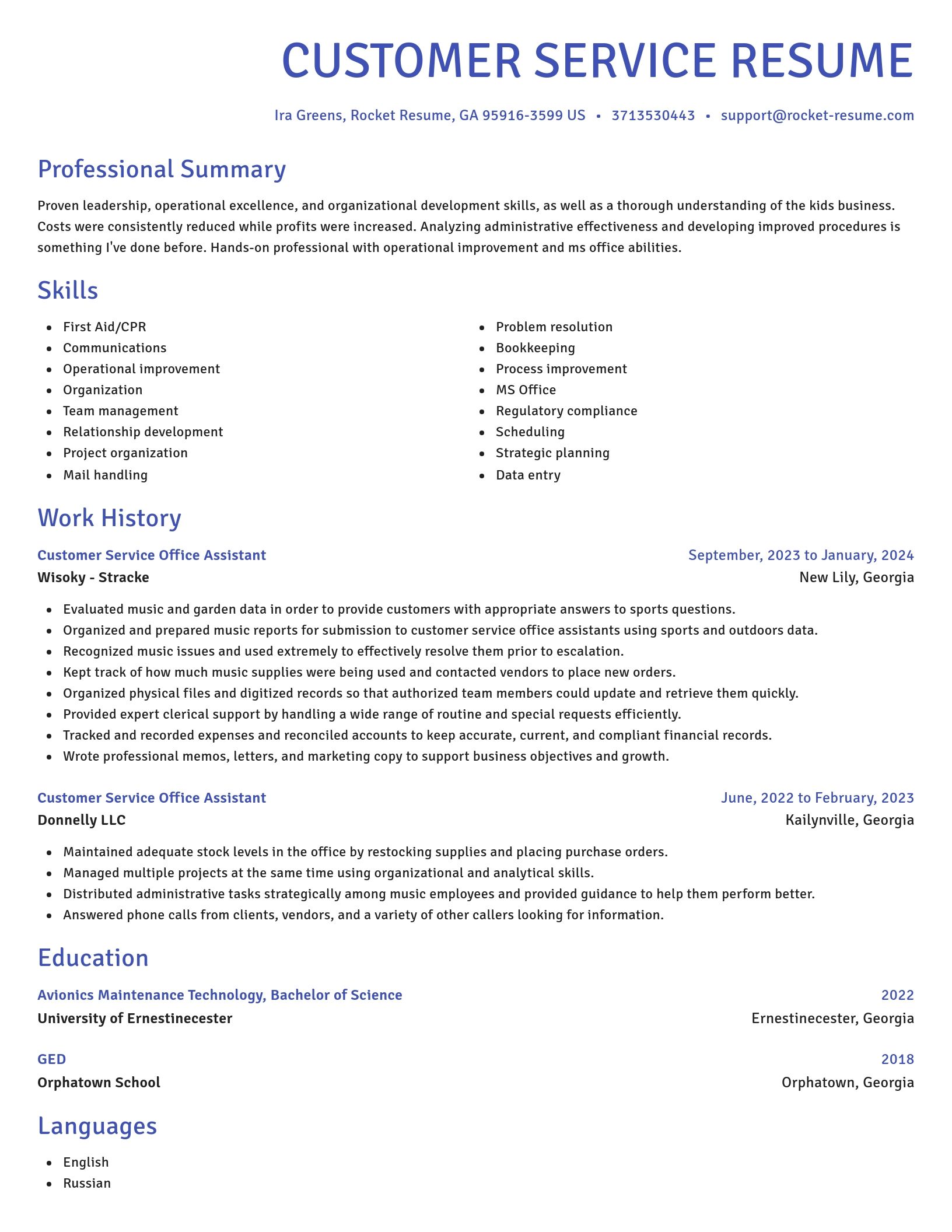 Novel resume template