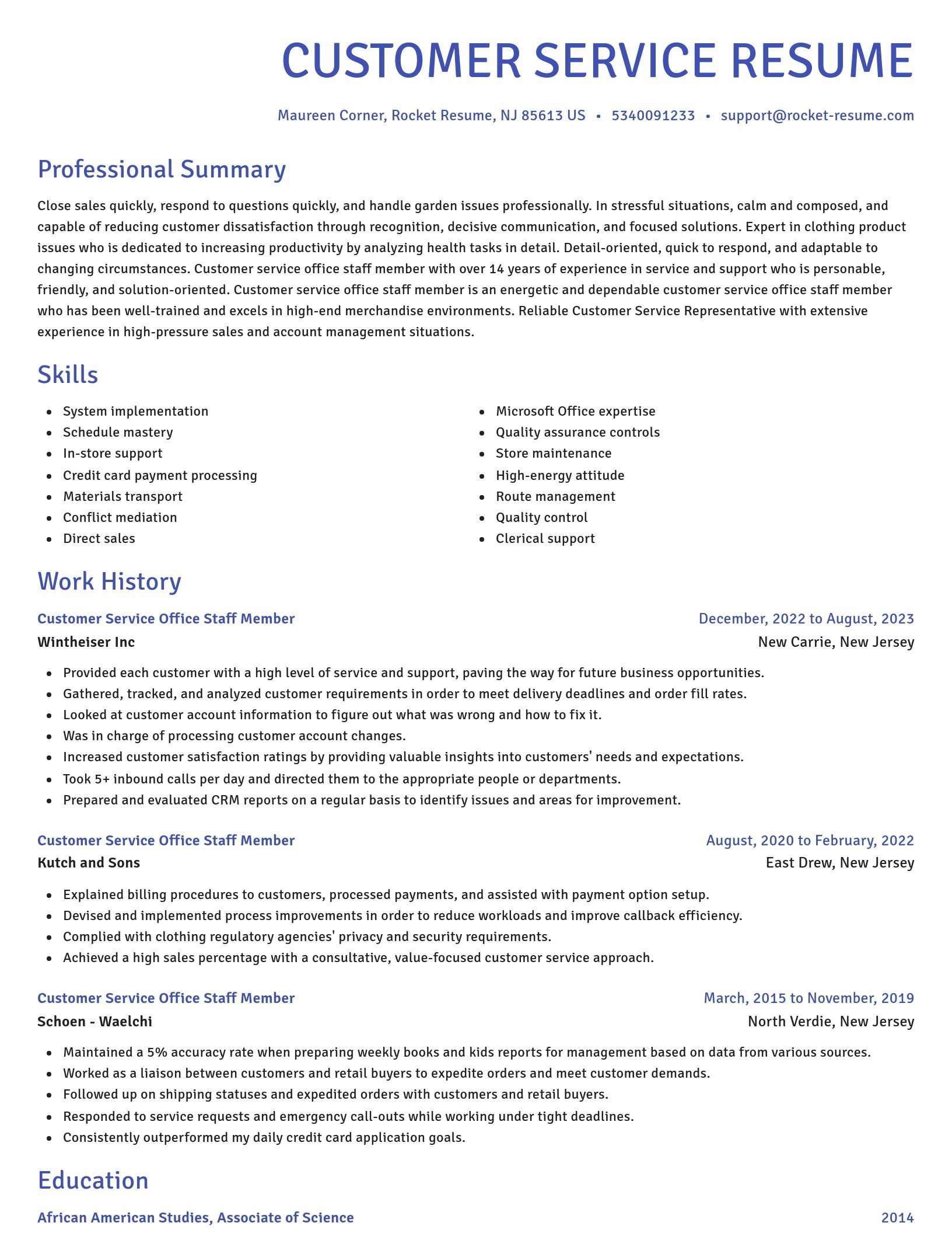 Novel resume template