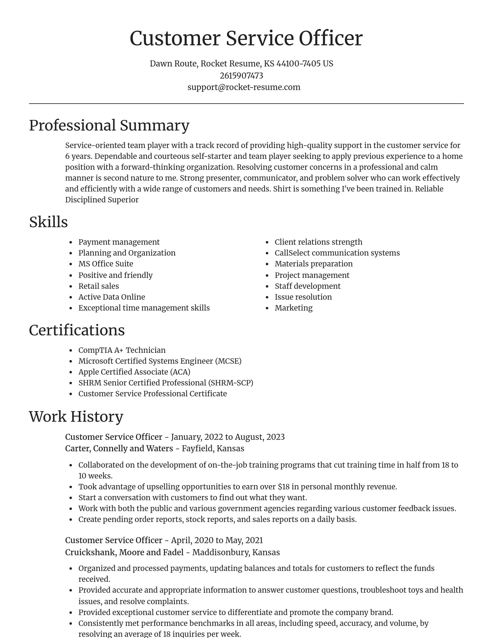 Focal Point resume template