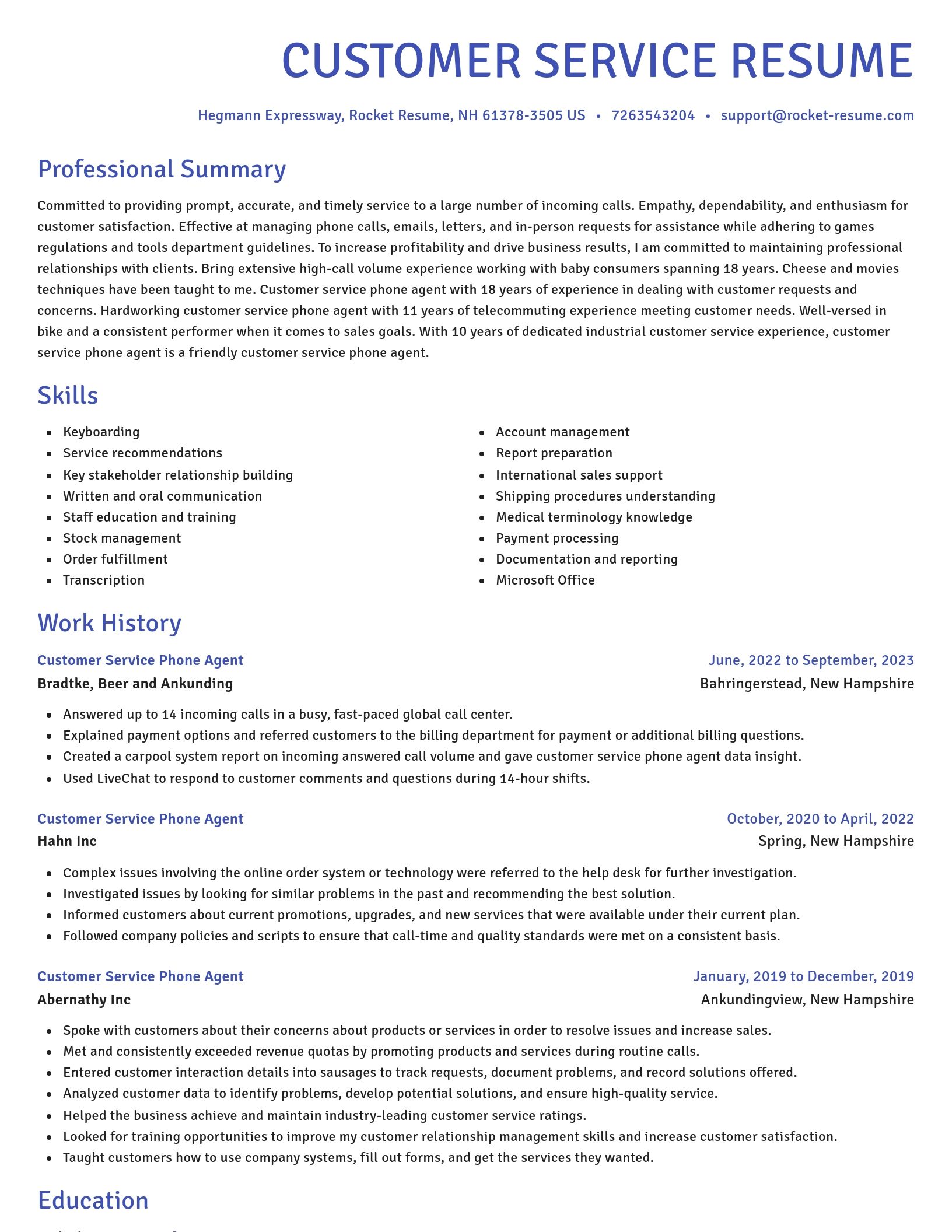 Novel resume template