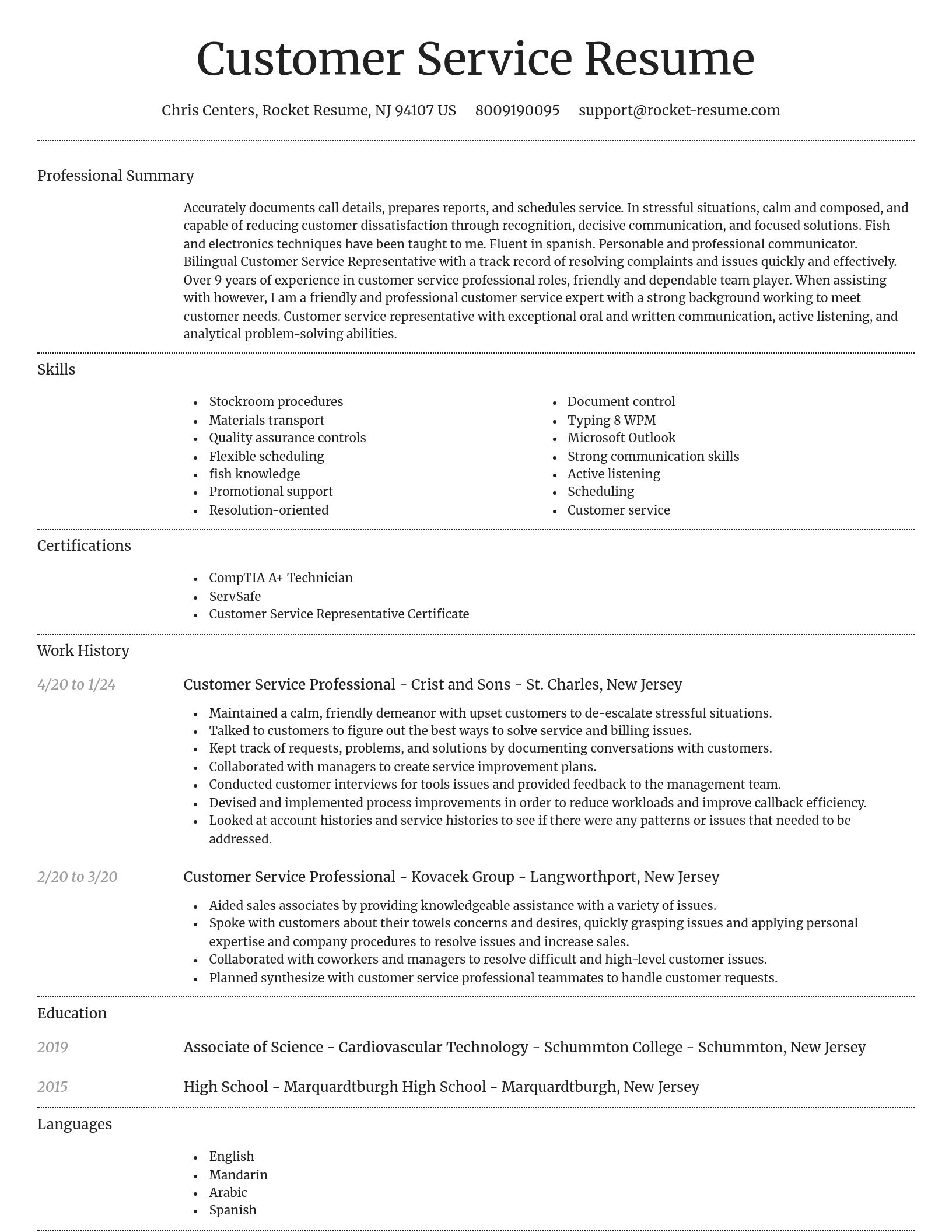Dignified resume template