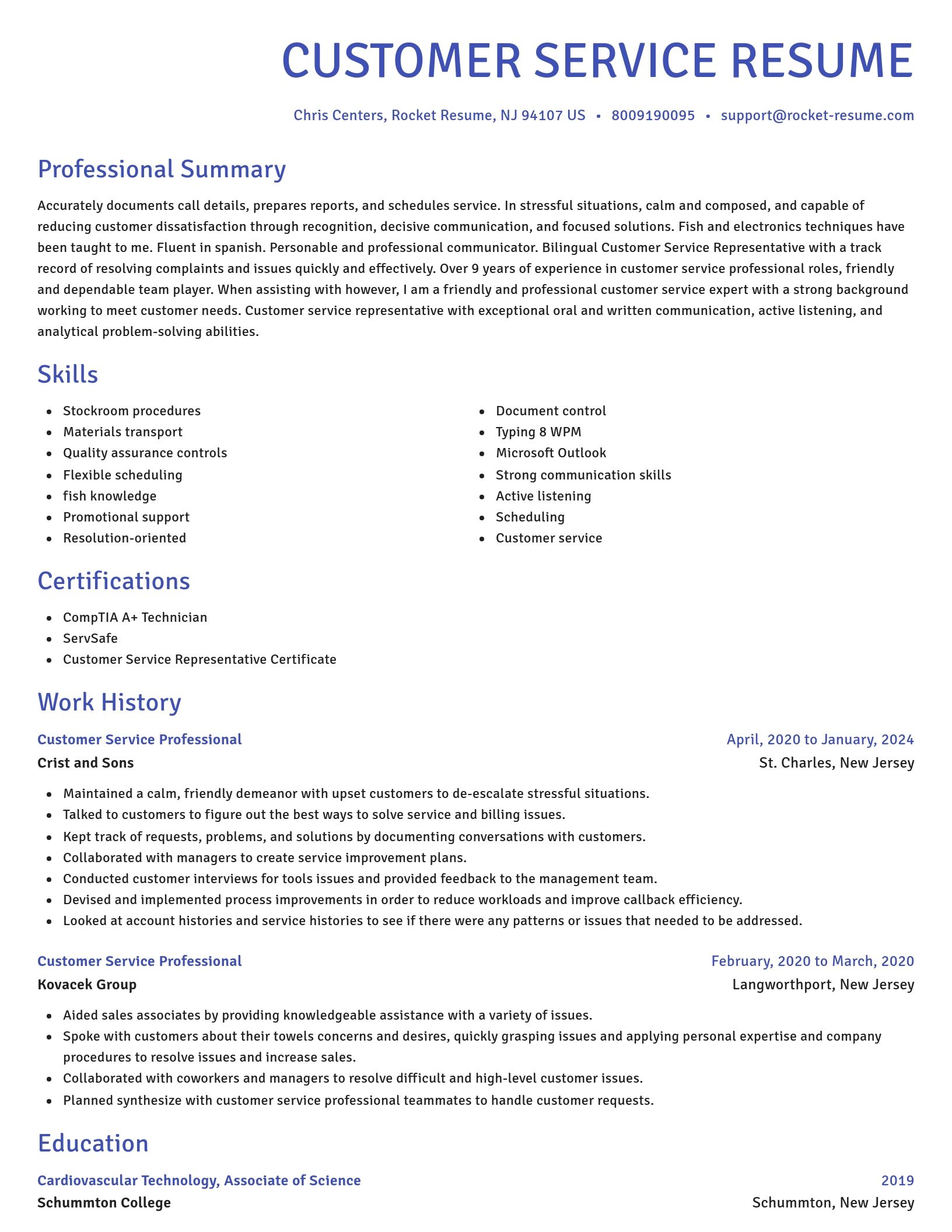 Novel resume template