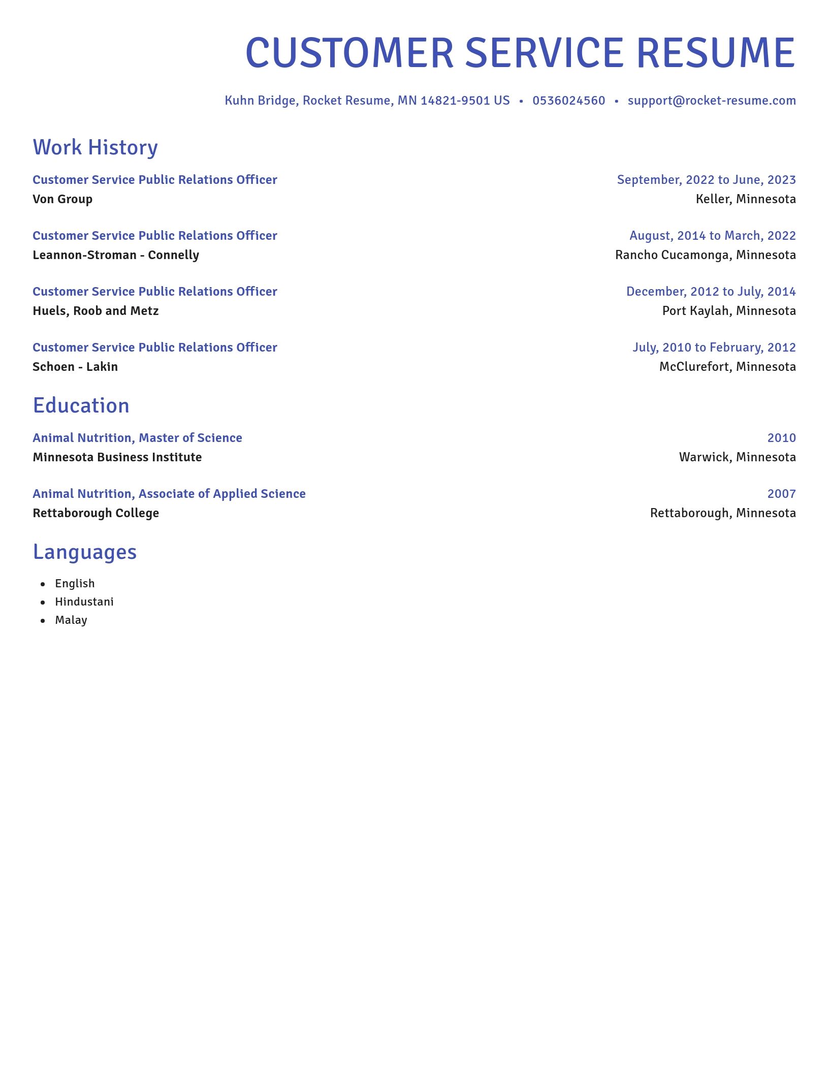 Novel resume template