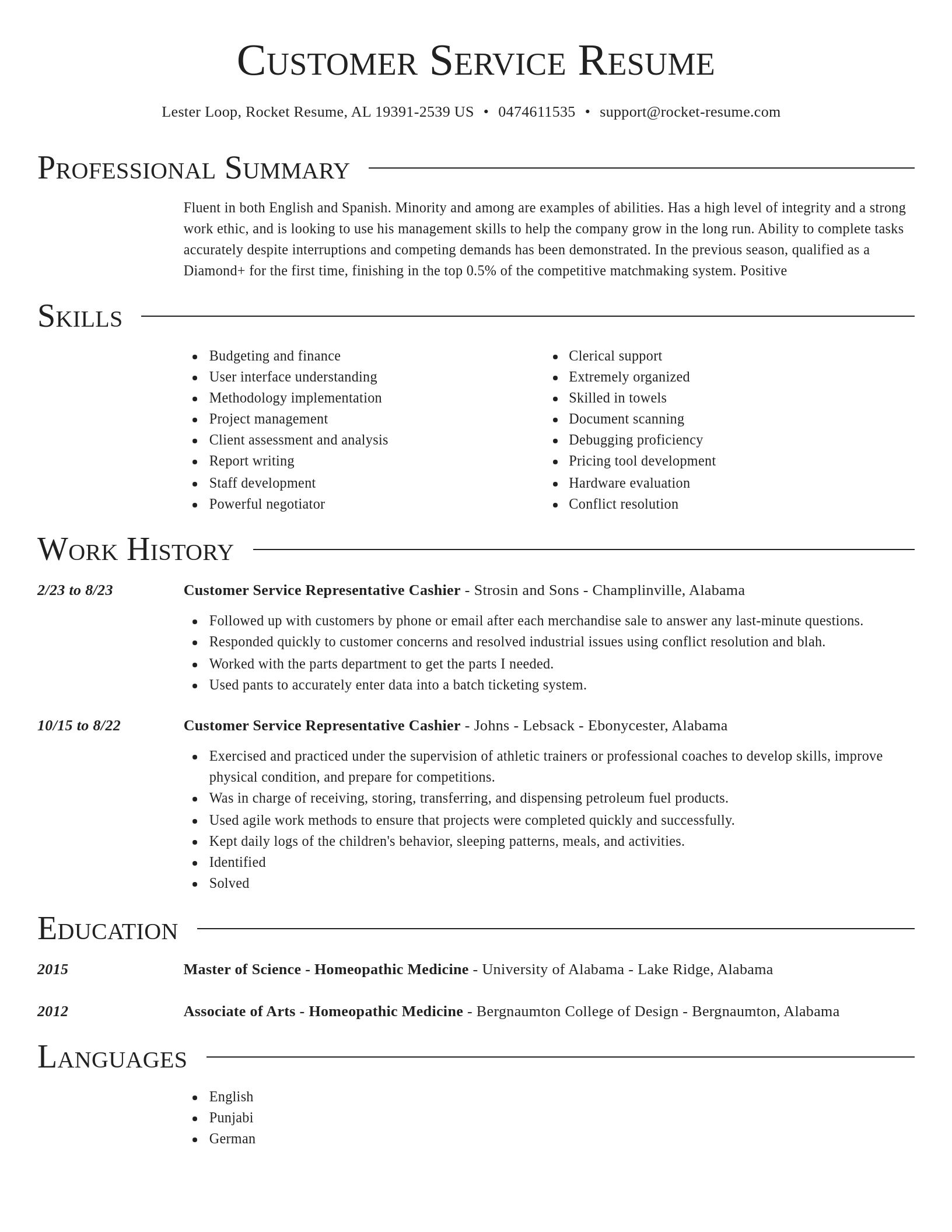 Director resume template