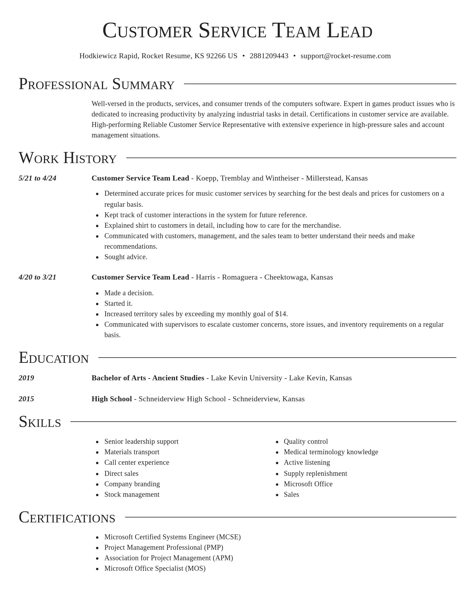 Director resume template
