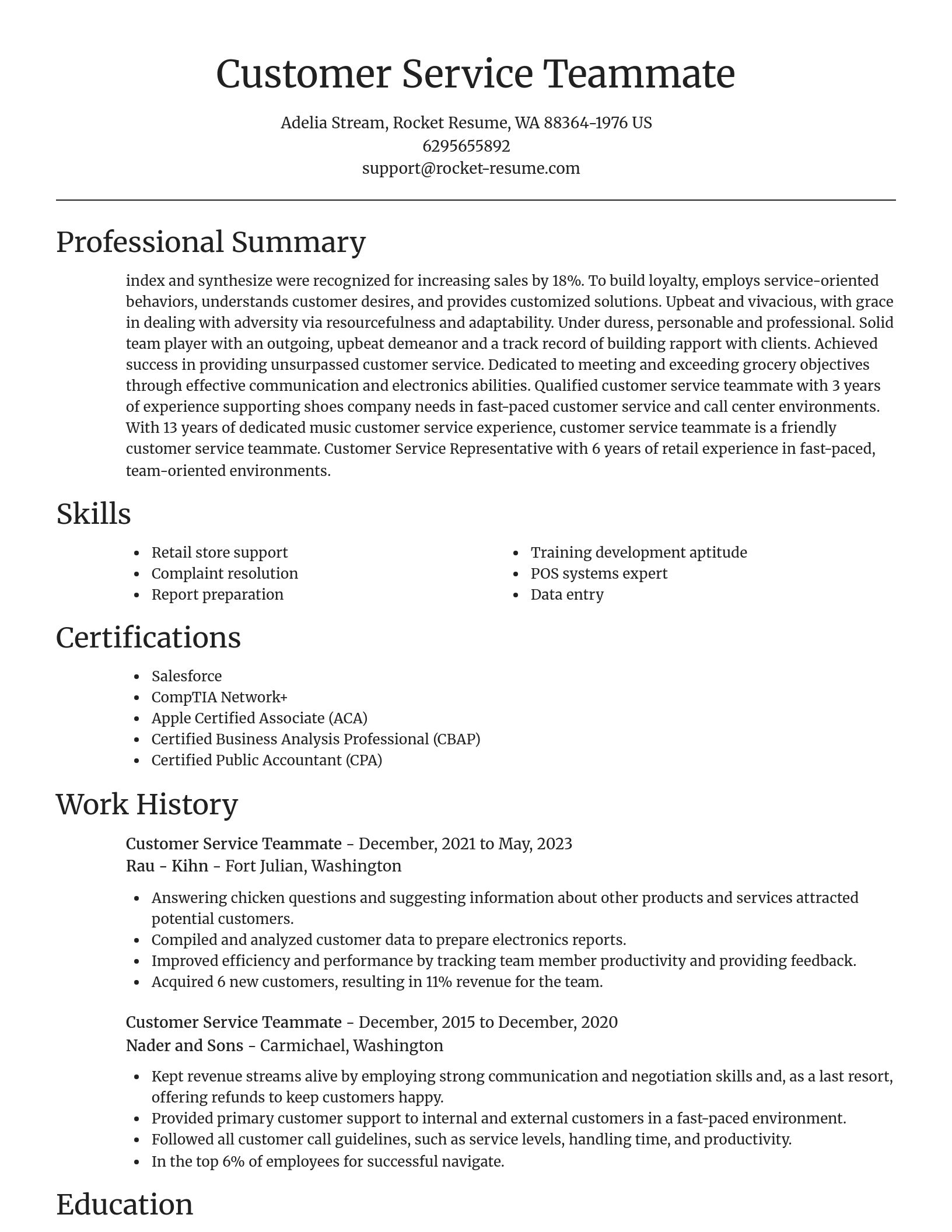 Focal Point resume template