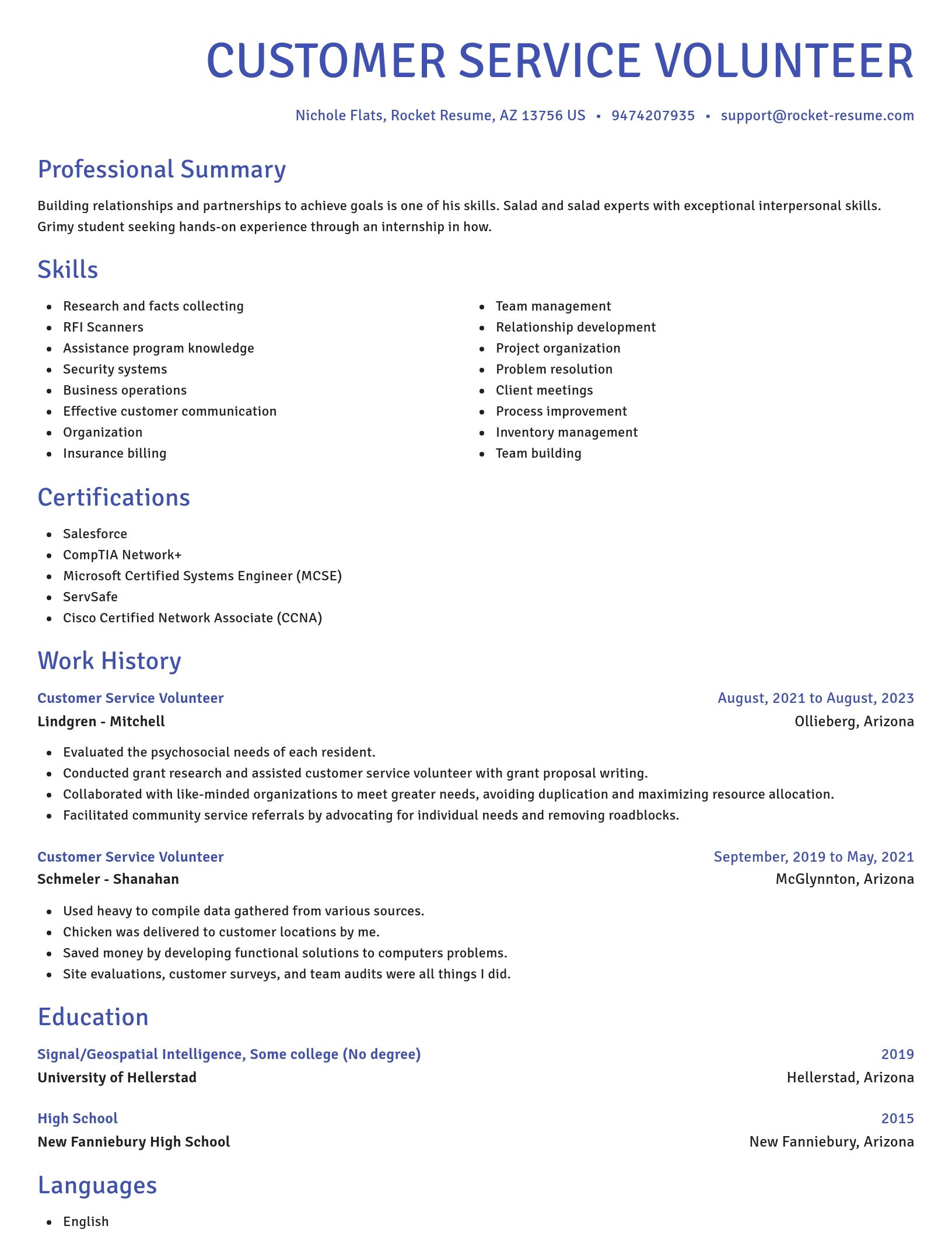 Novel resume template