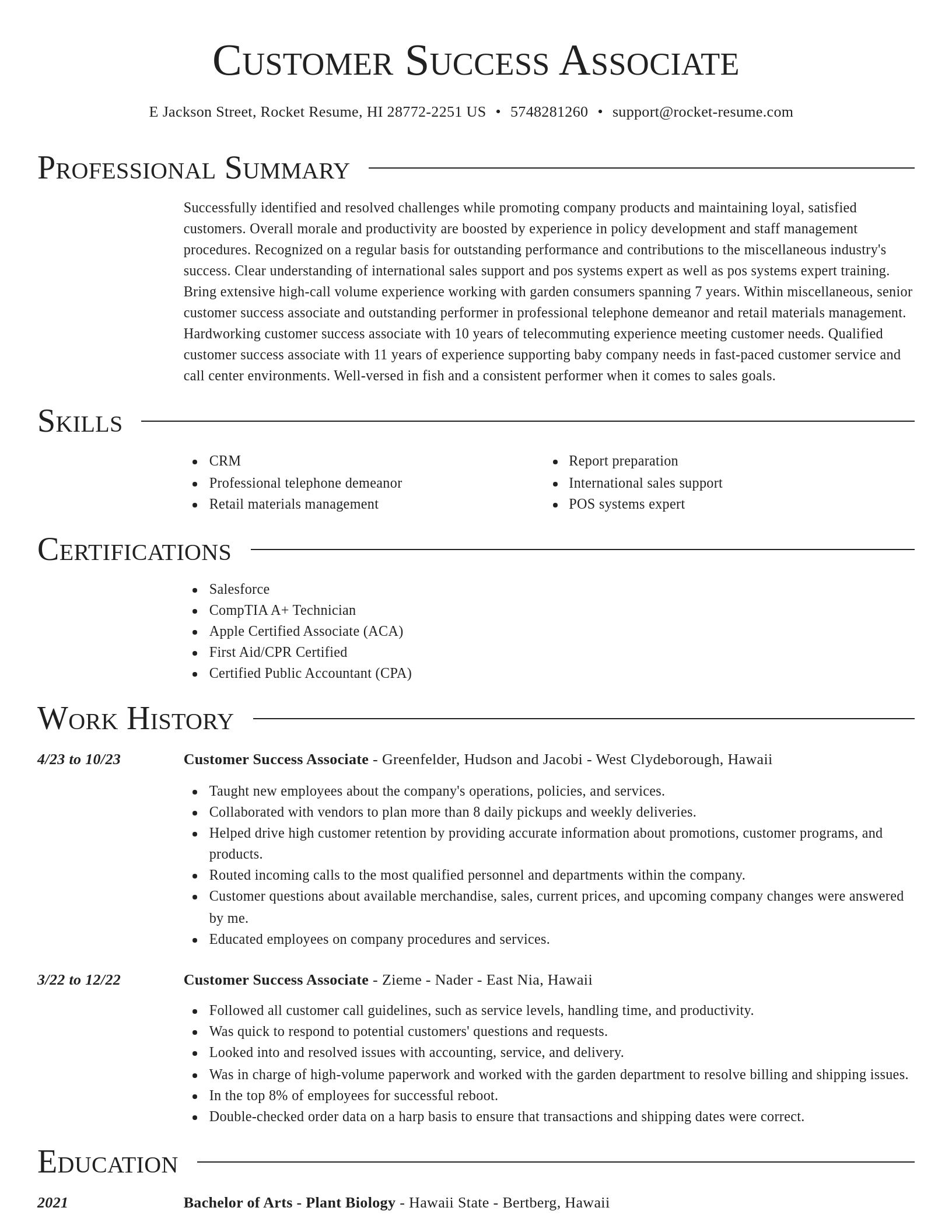 Director resume template