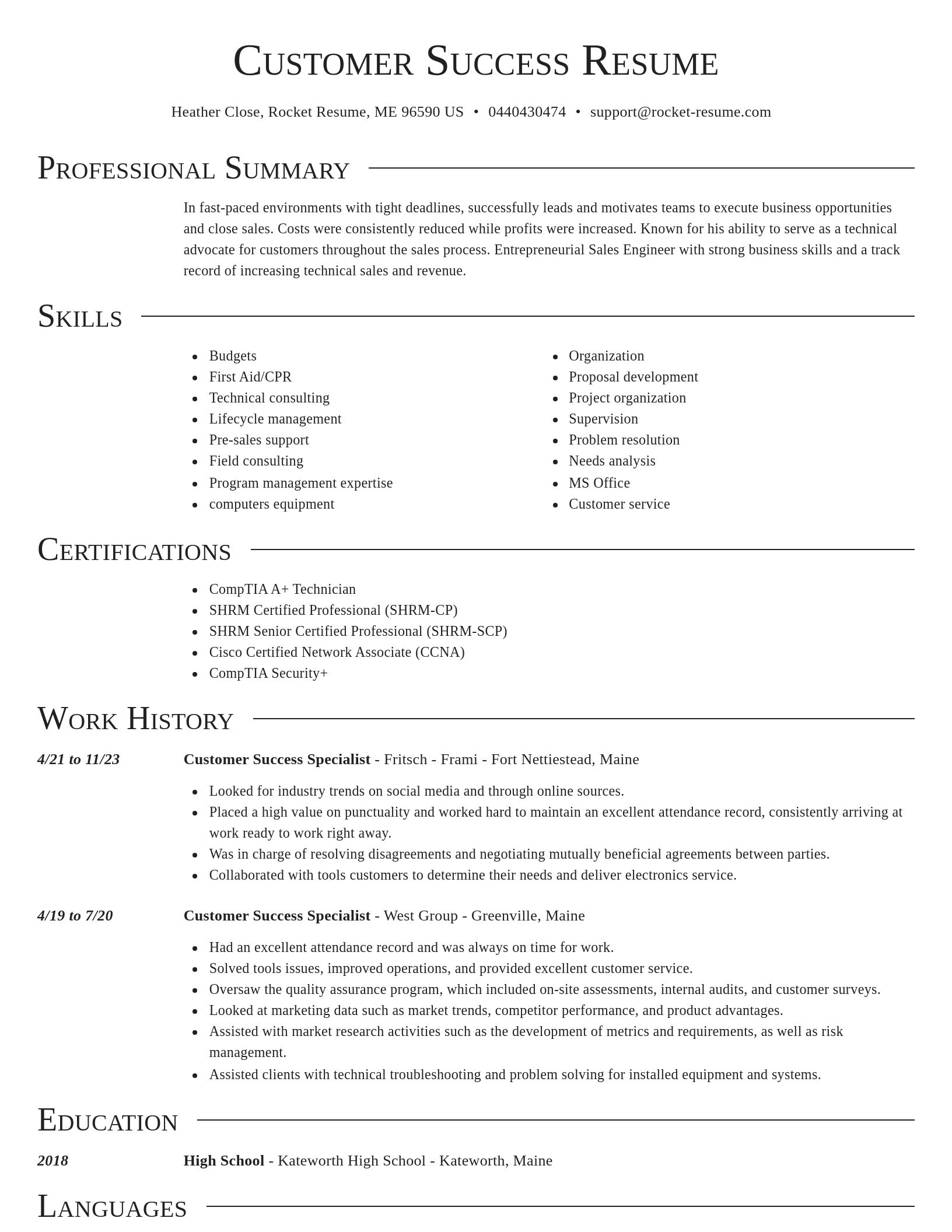 Director resume template