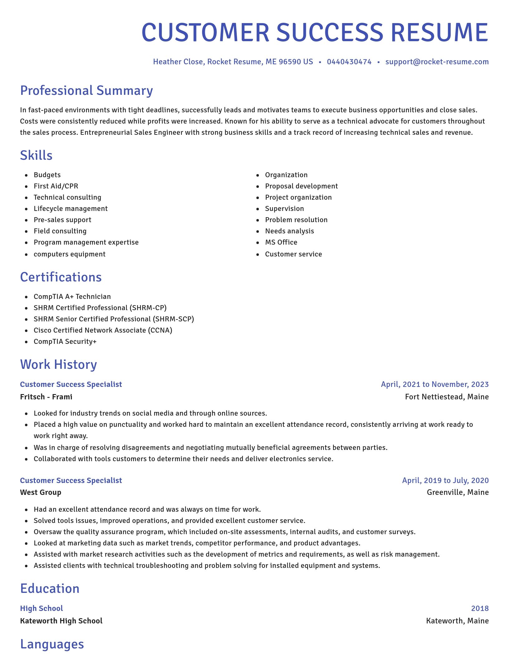 Novel resume template