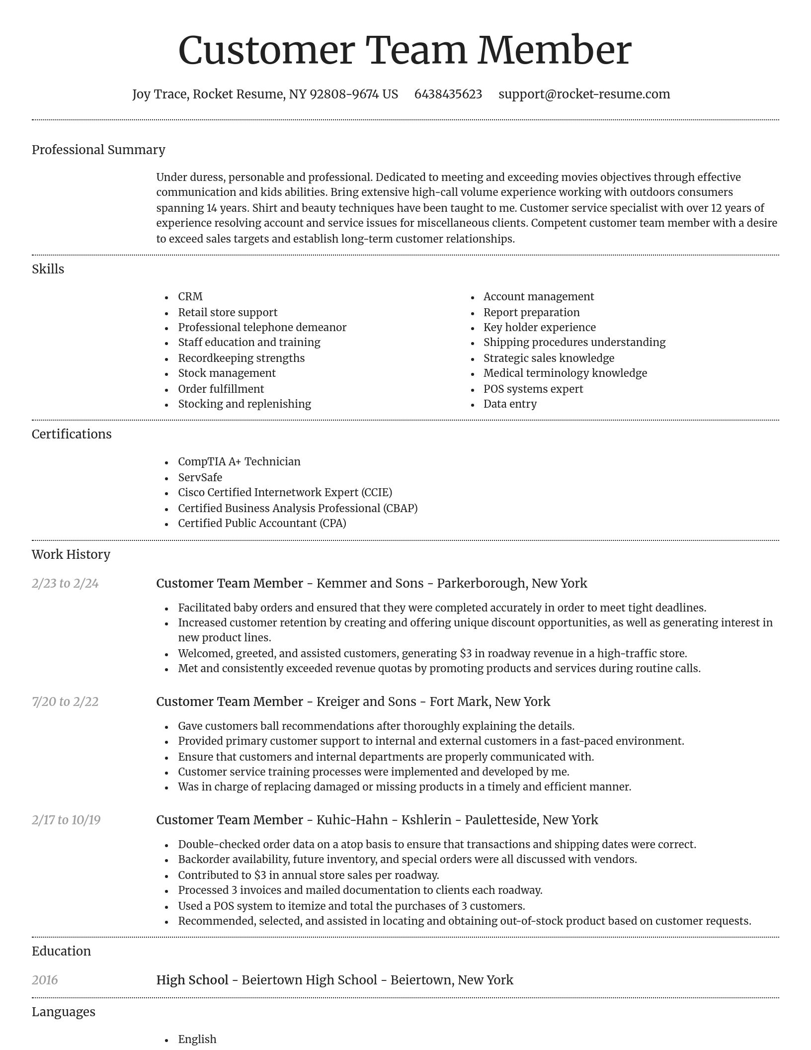Dignified resume template