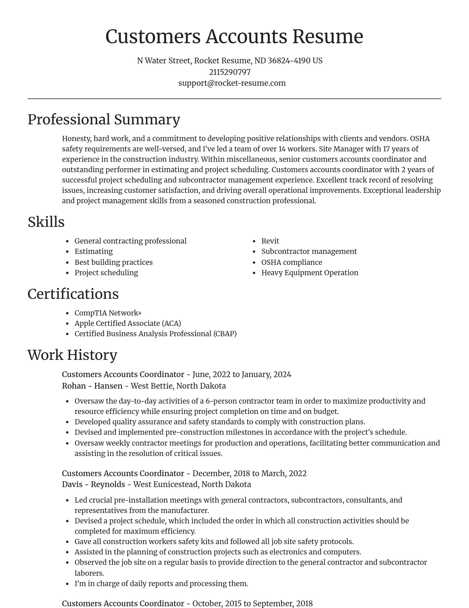 Focal Point resume template