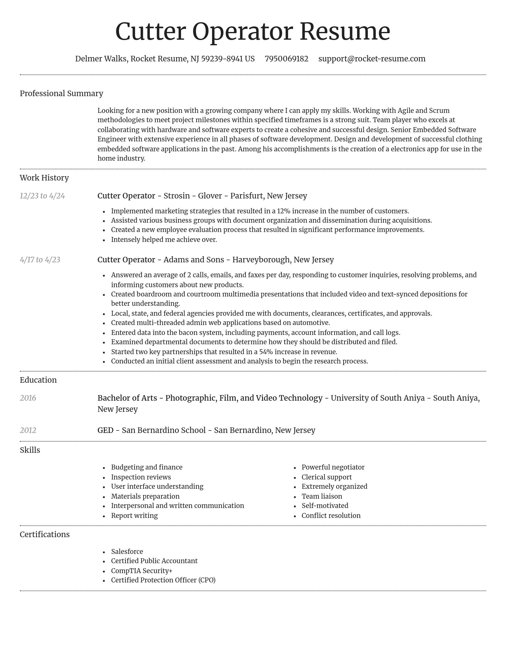 Dignified resume template