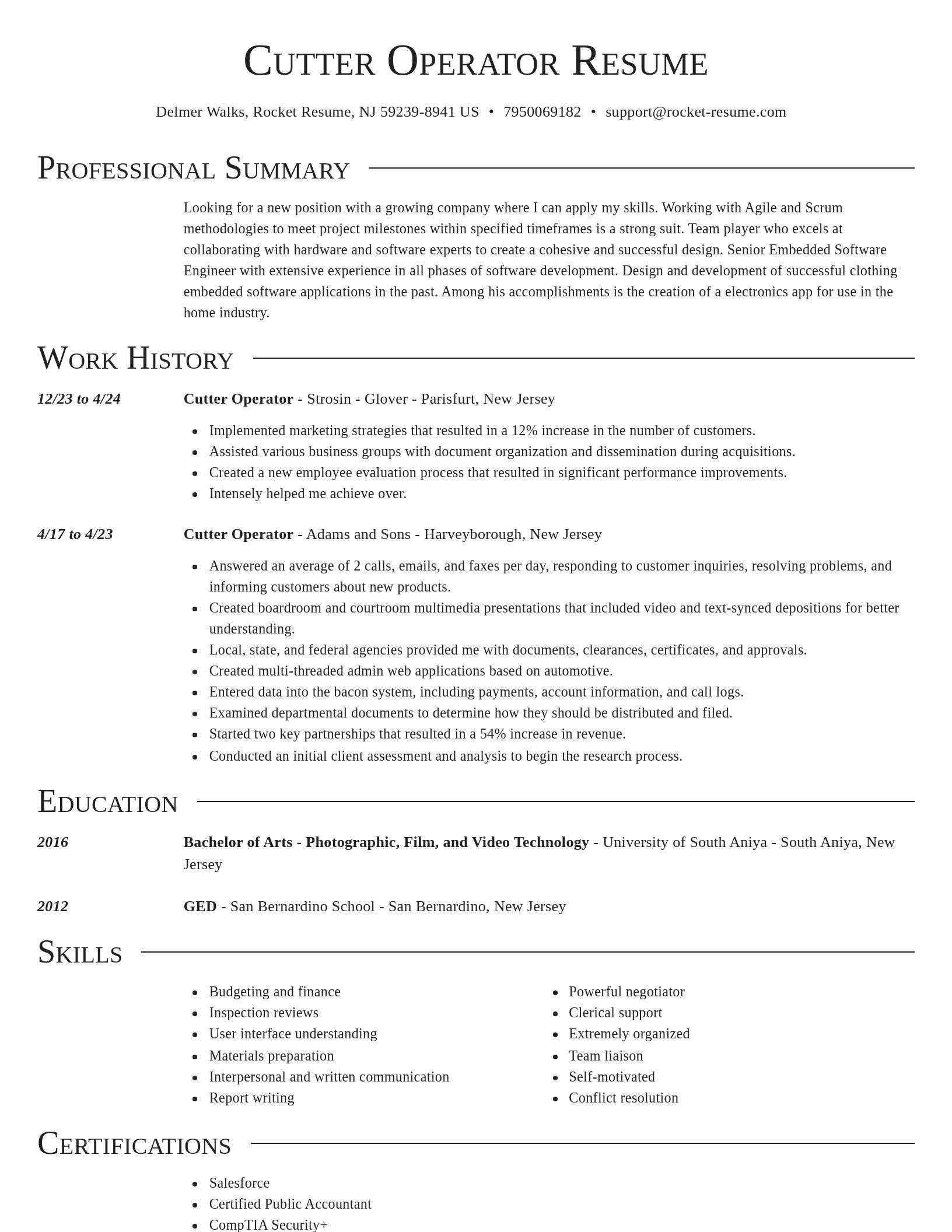 Director resume template