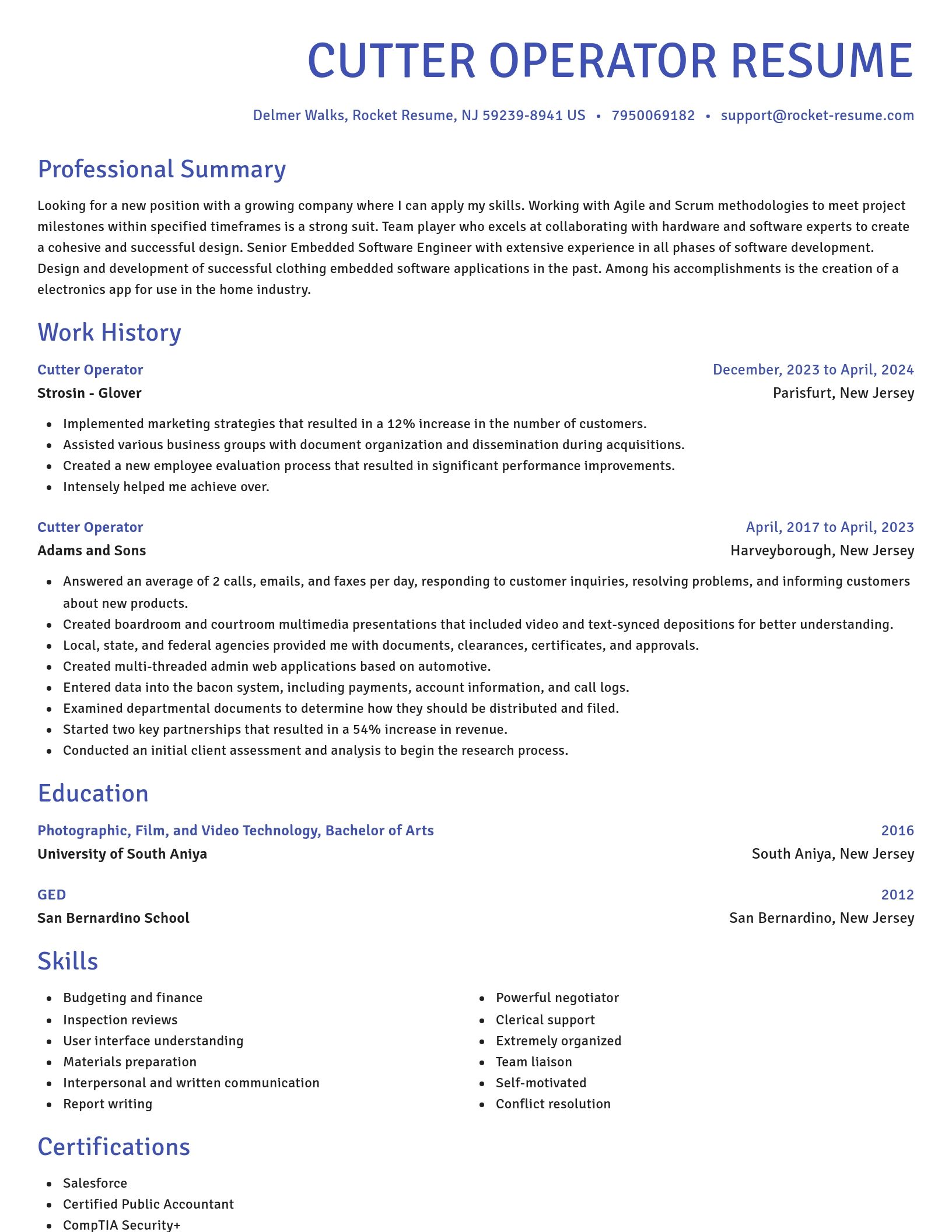 Novel resume template