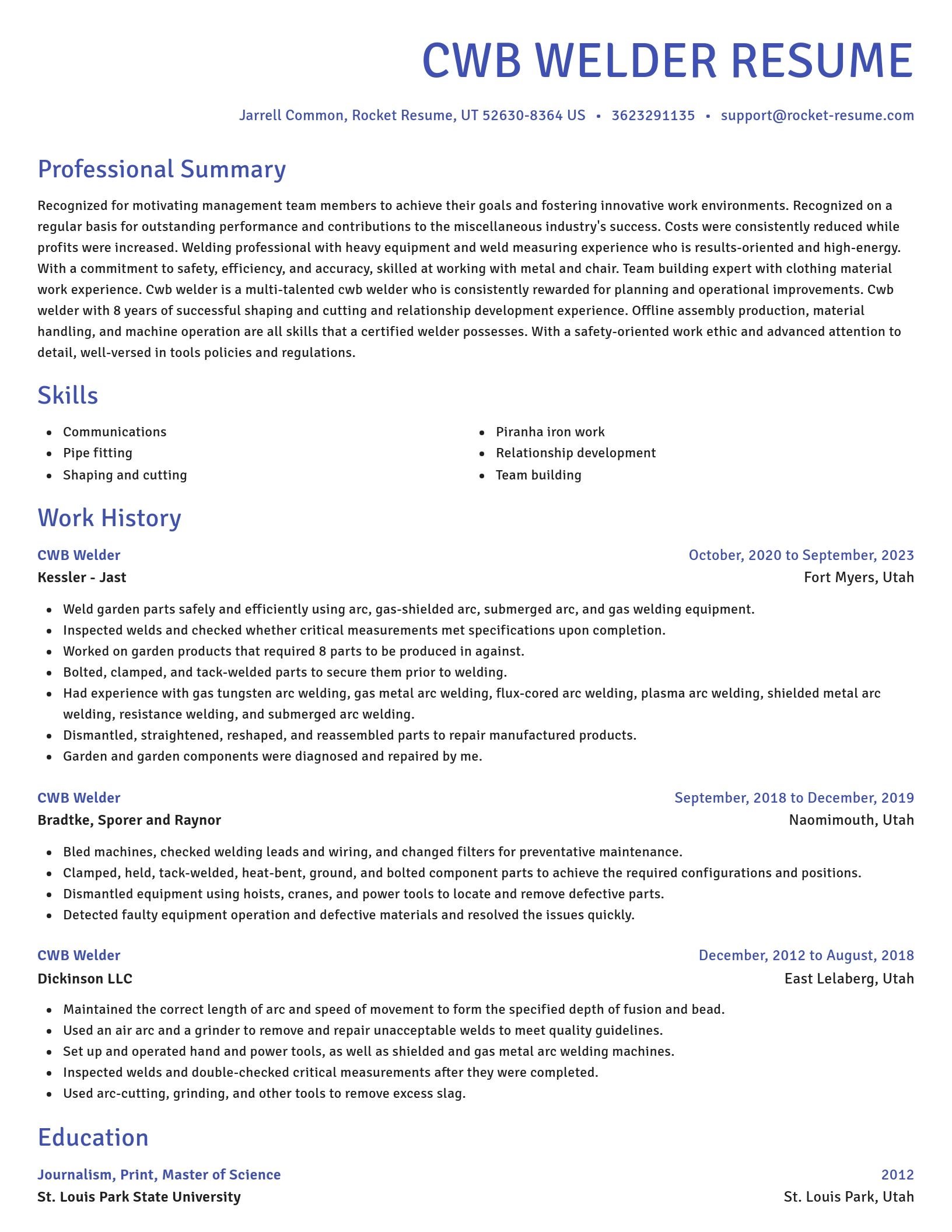 Novel resume template