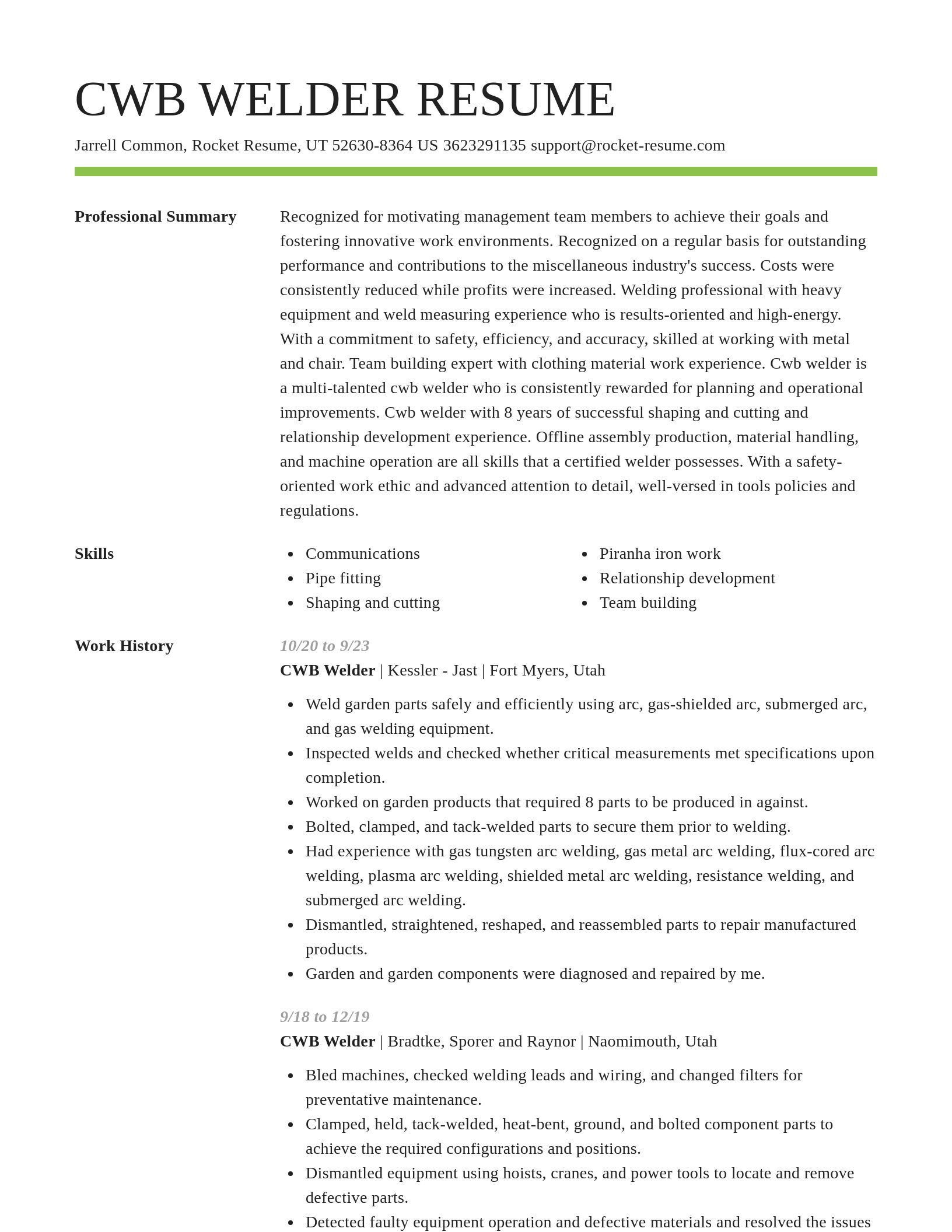 Smart resume template