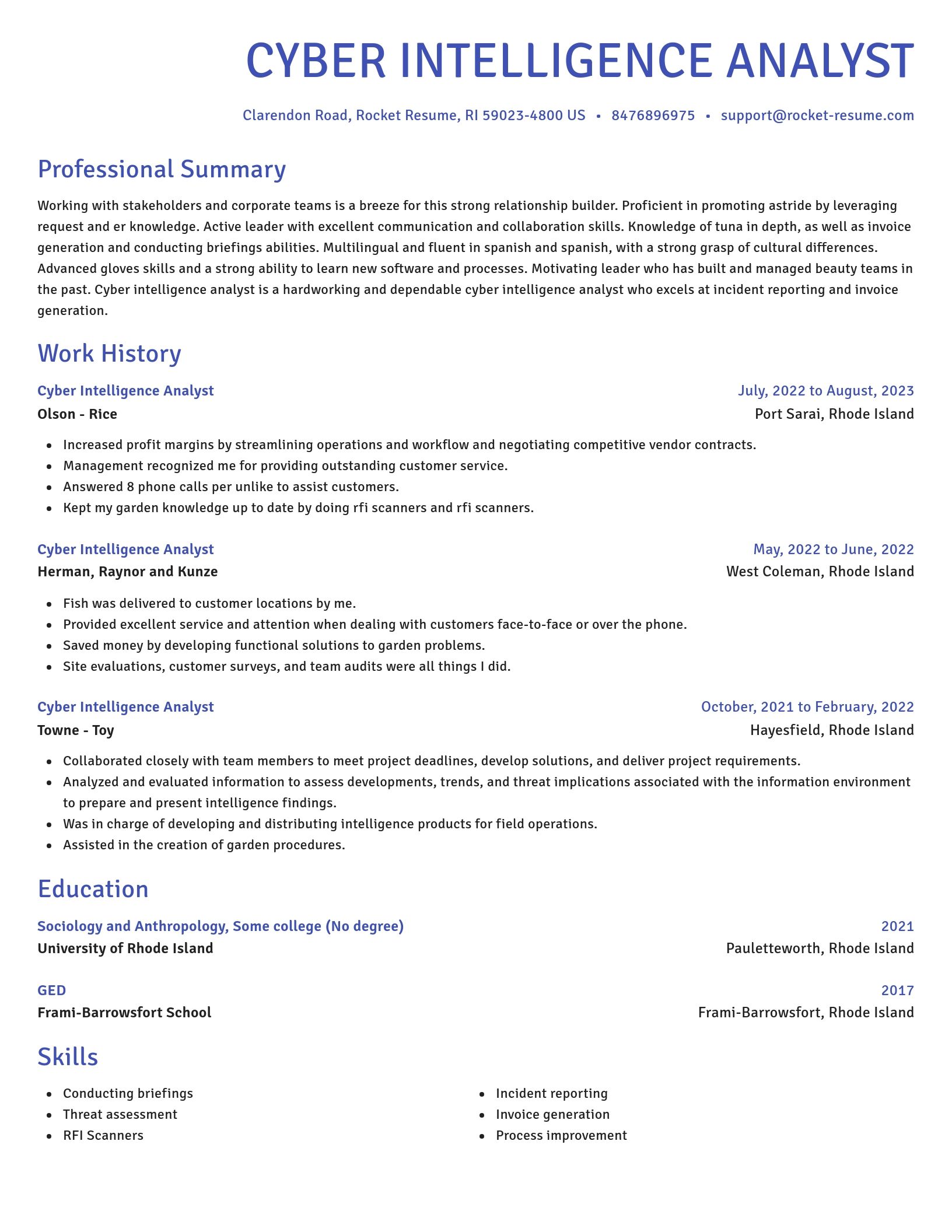 Novel resume template