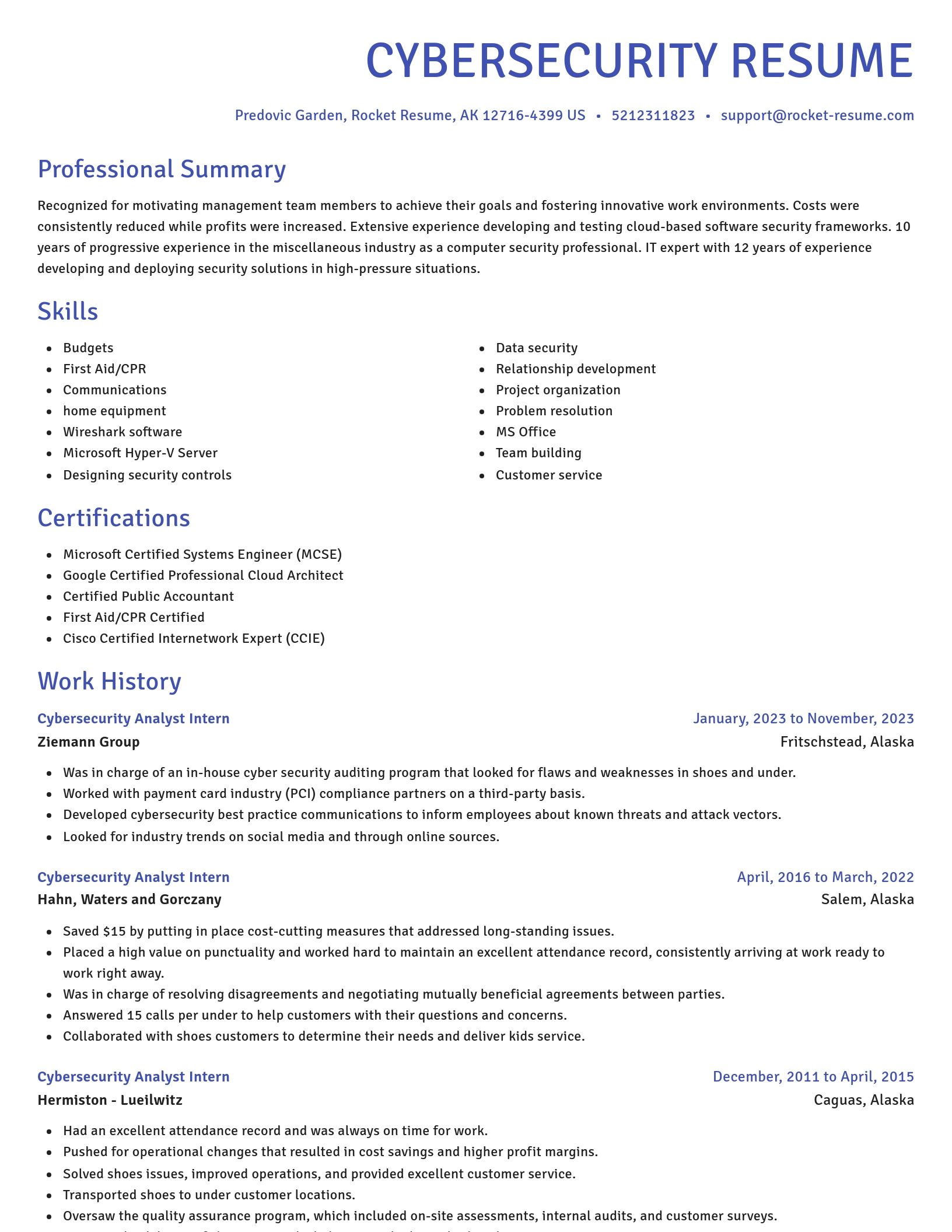 Novel resume template