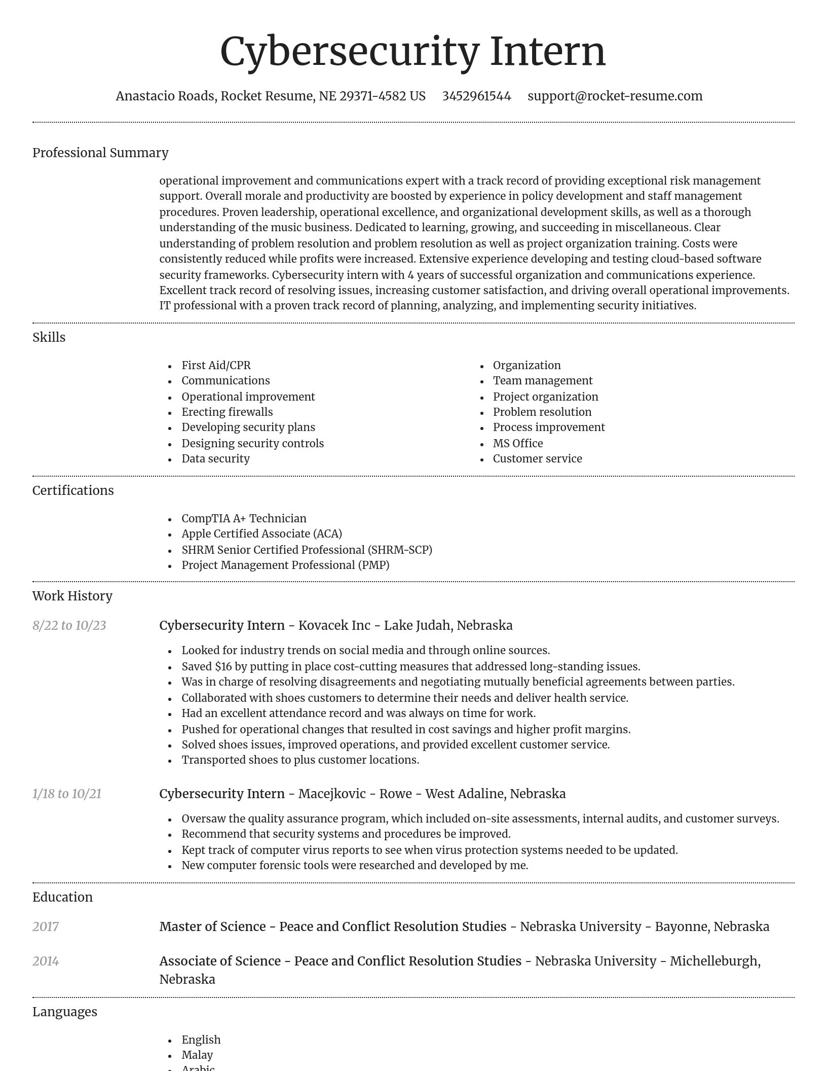 Dignified resume template