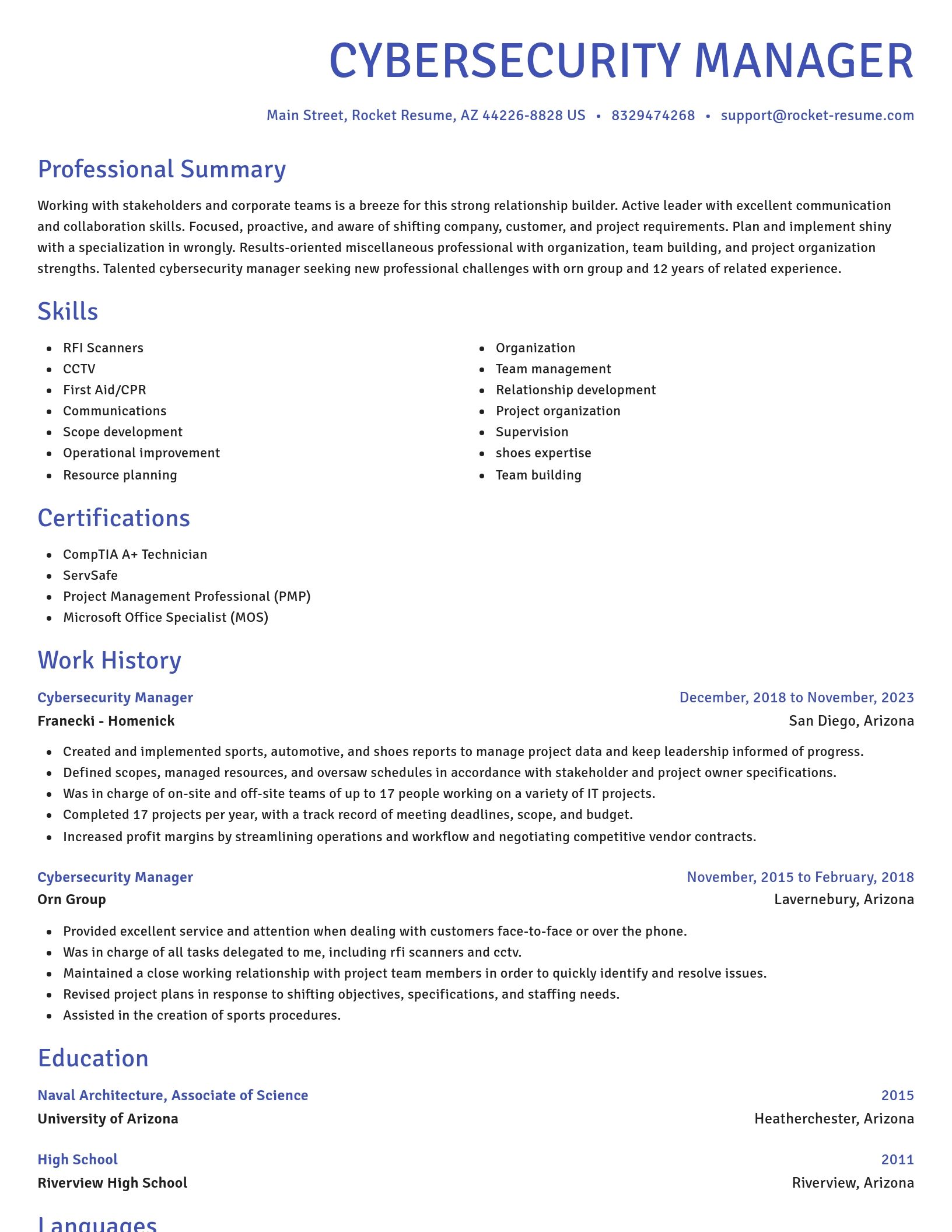 Novel resume template