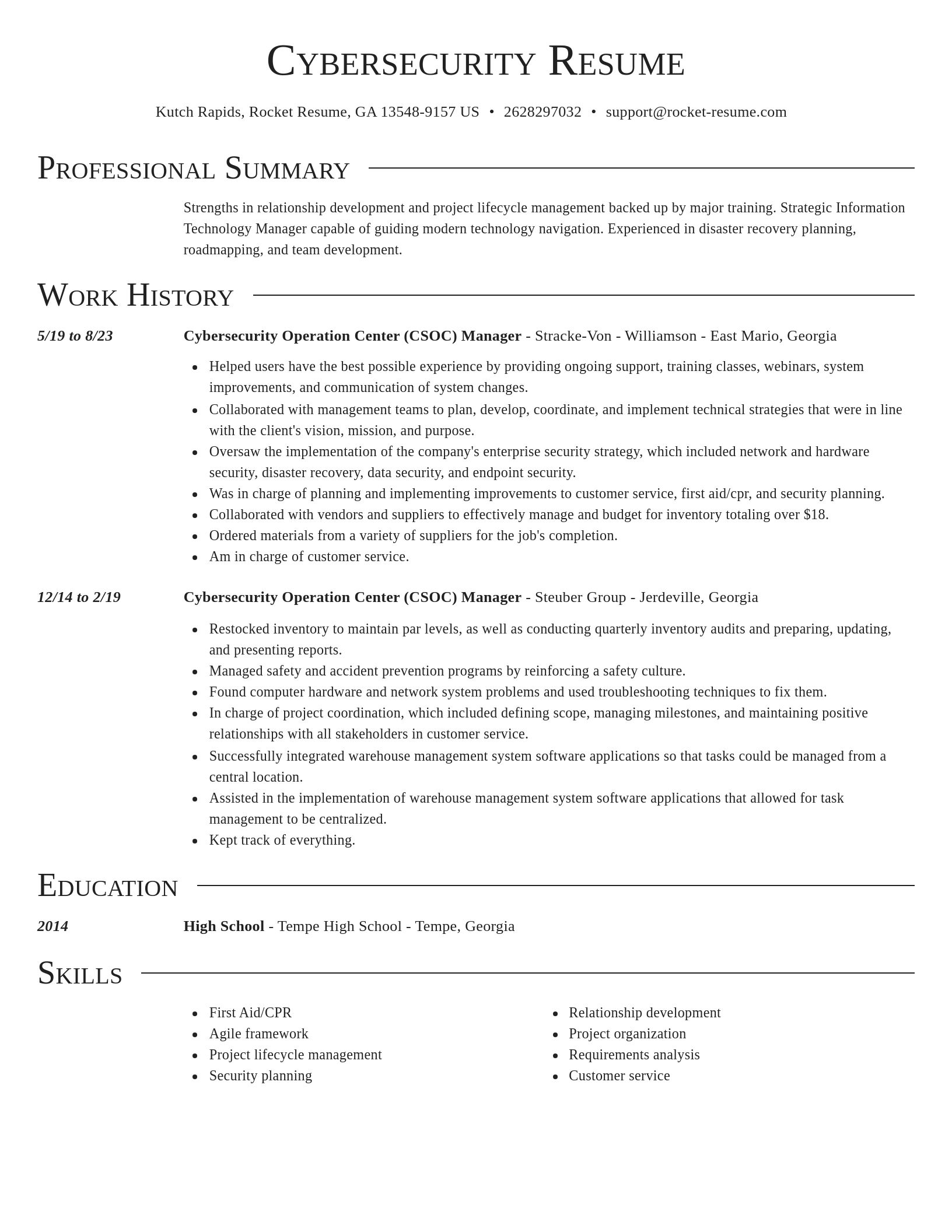 Director resume template